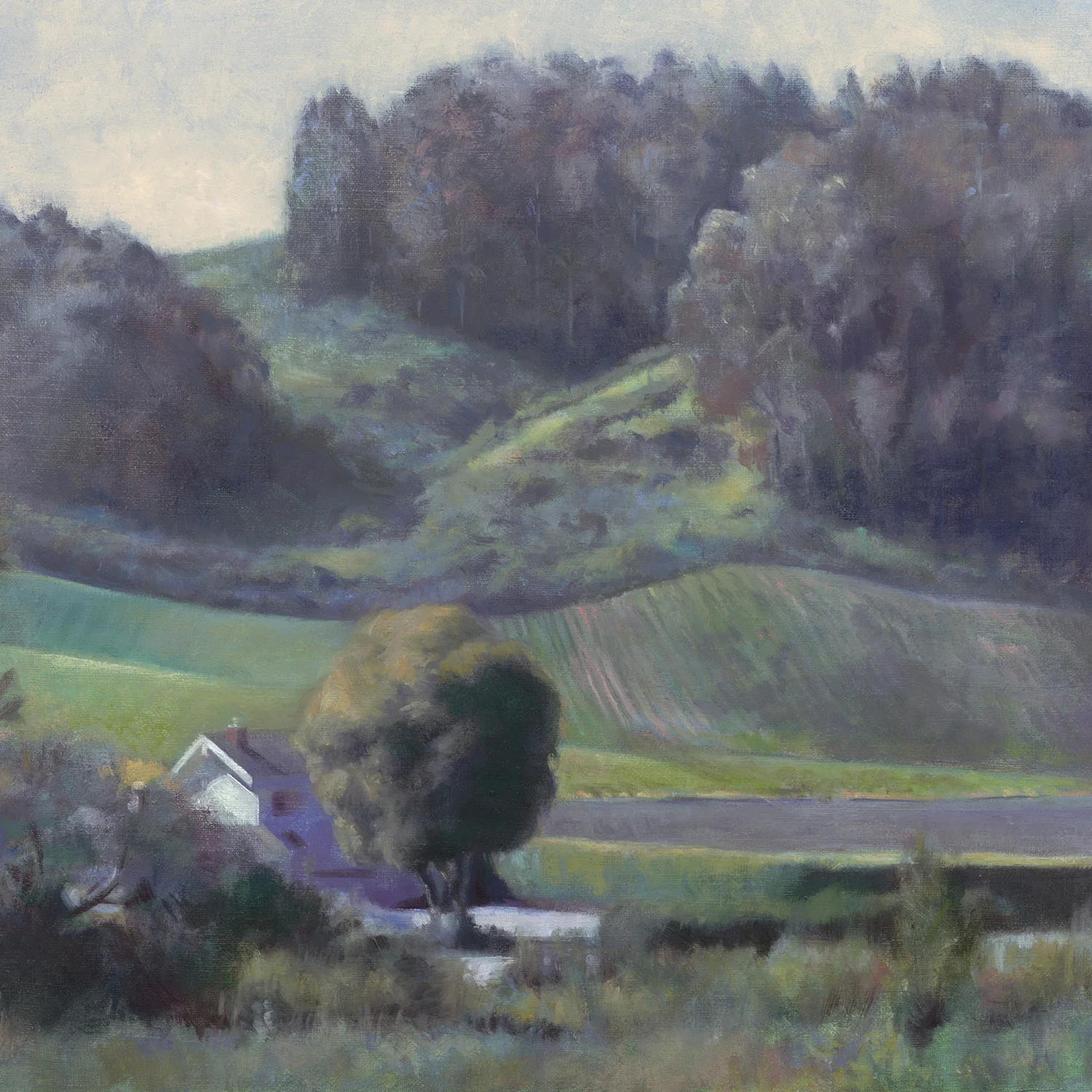 Morning Haze, 16x20" oil on linen, Collection of the LaFollette Family