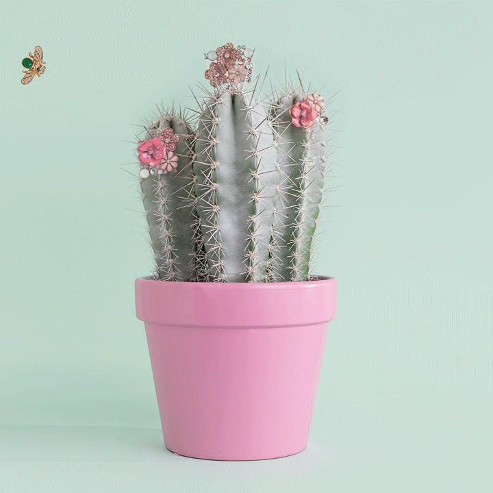 Bethany Birnie Minneapolis Photography & Art Directionv