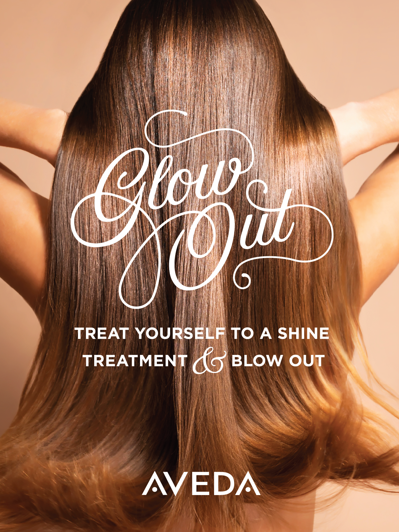 POSTERS HUNG NATIONALLY ON AVEDA SALON MIRRORS