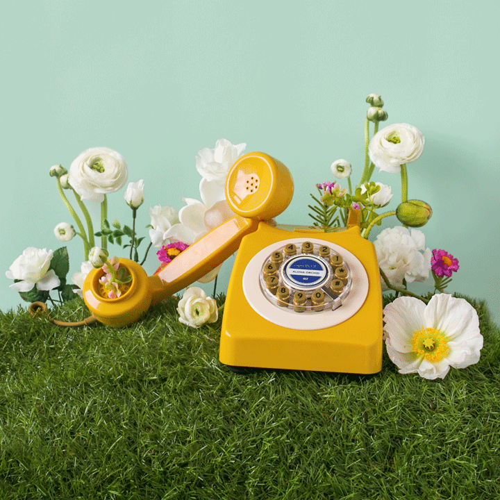 Fragrance_AlohaOrchid_Square.gif