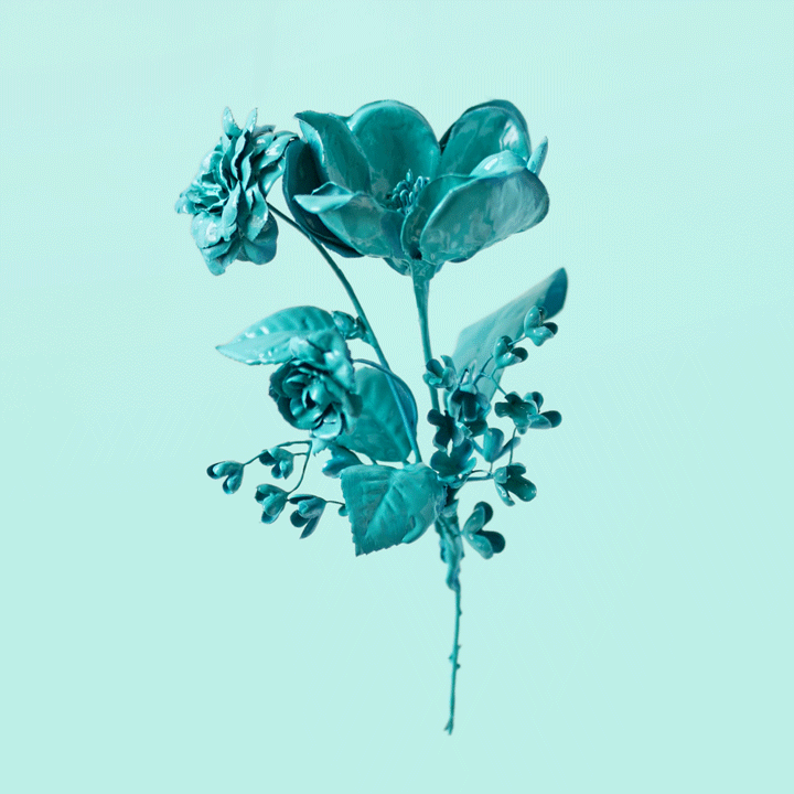 Bethany Birnie Minneapolis Photography & Art Direction