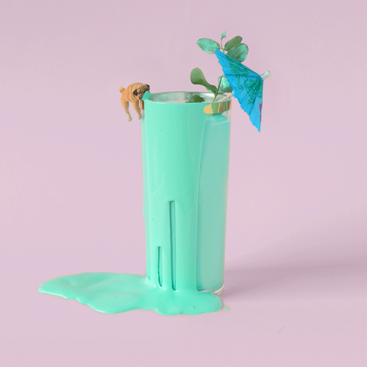 Bethany Birnie Minneapolis Photography & Art Direction