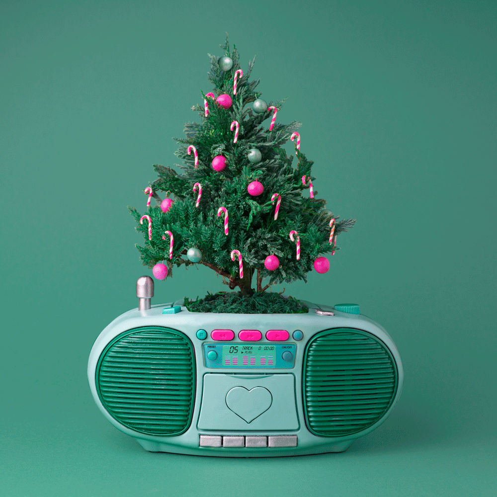 Bethany Birnie Minneapolis Photography & Art Direction