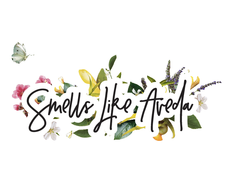 Bethany Birnie Minneapolis Photography & Art Direction