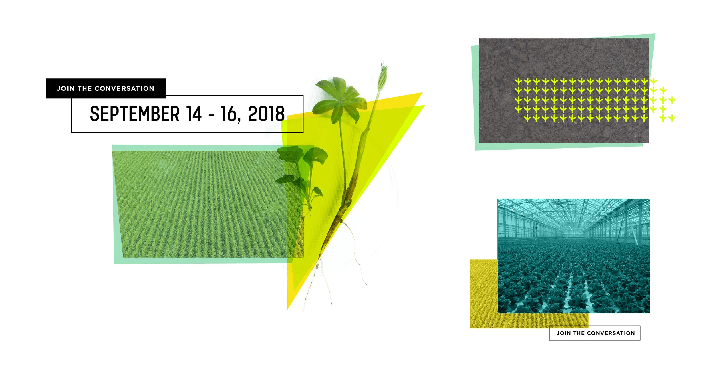 Imagery Overlay Examples-03.jpg