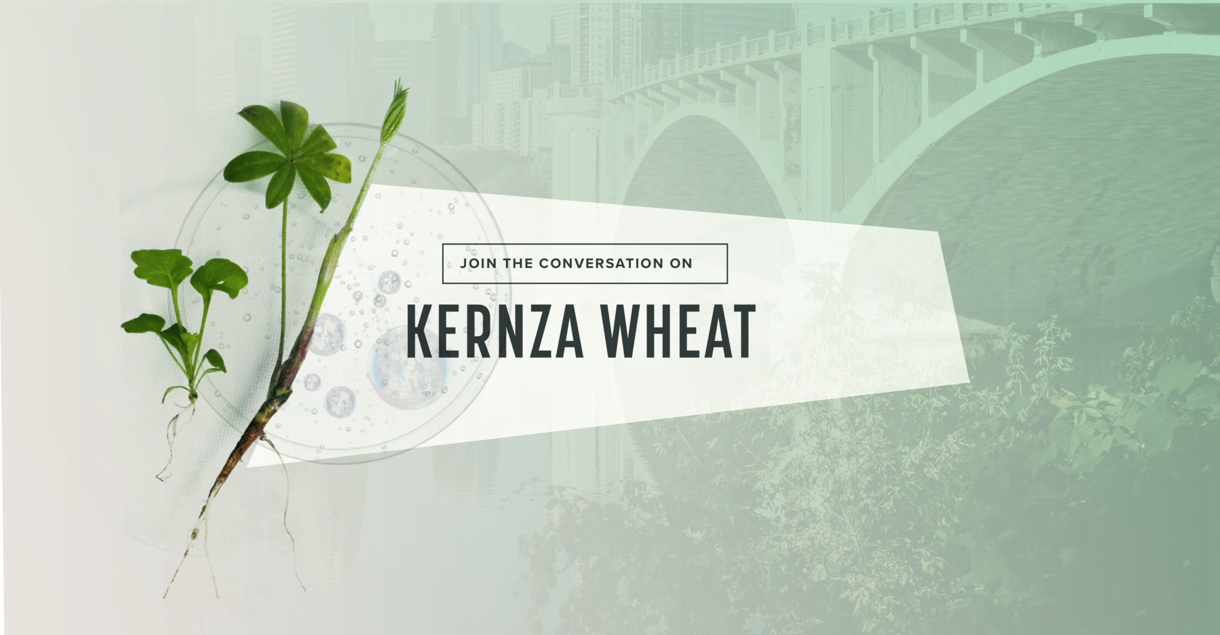 Food Ag Ideas Week Image