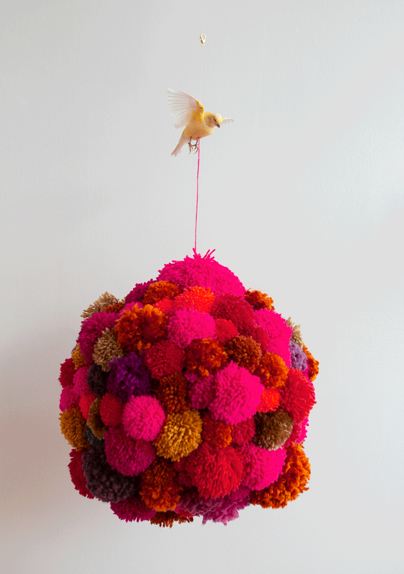 “Atlas” series - Taxidermied Canaries (Naturally Deceased) , Atticus Atlas Moths, &amp; Yarn