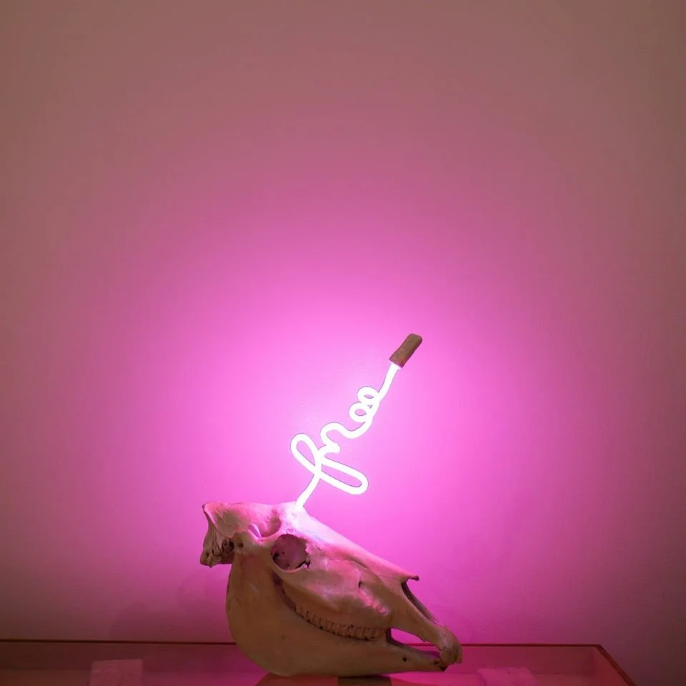 “Free” - Skull &amp; Neon