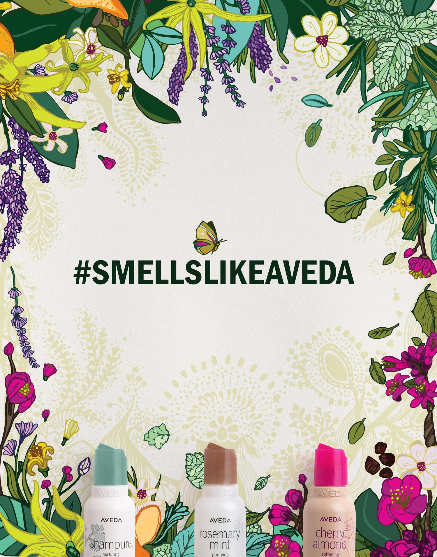 AVEDA - ILLUSTRATION / DESIGN / ANIMATION