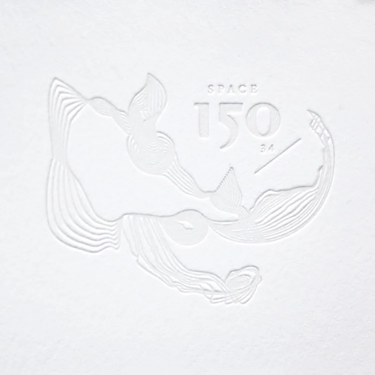 SPACE 150 - BRANDING