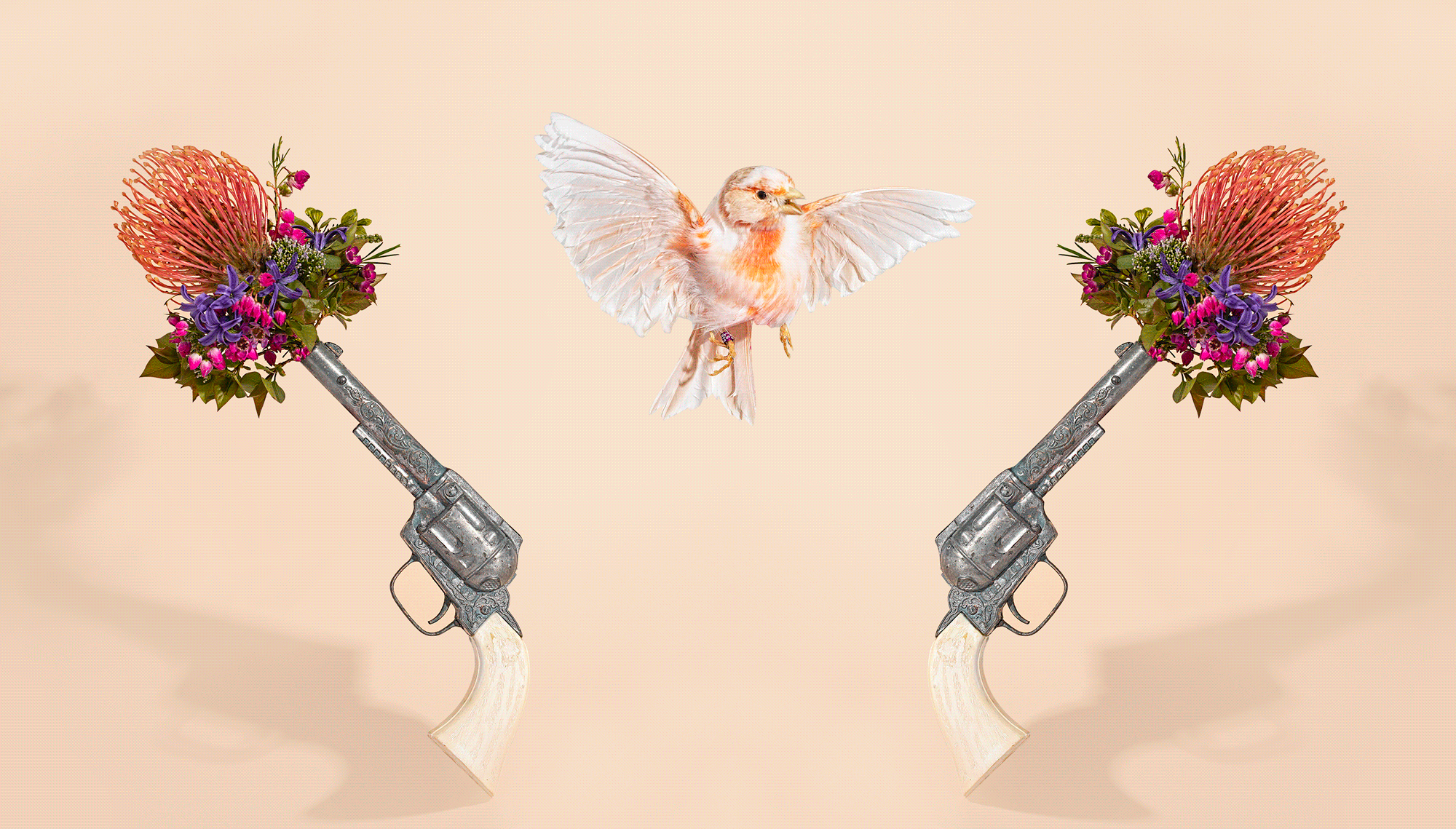 Bethany Birnie Minneapolis Photography  Art Direction