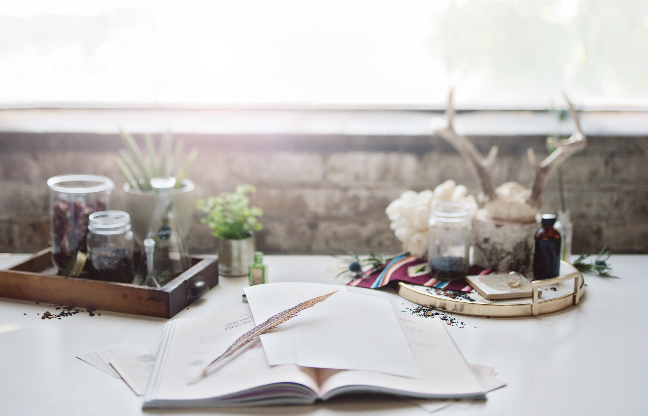 Bethany Birnie Minneapolis Photography & Art Direction