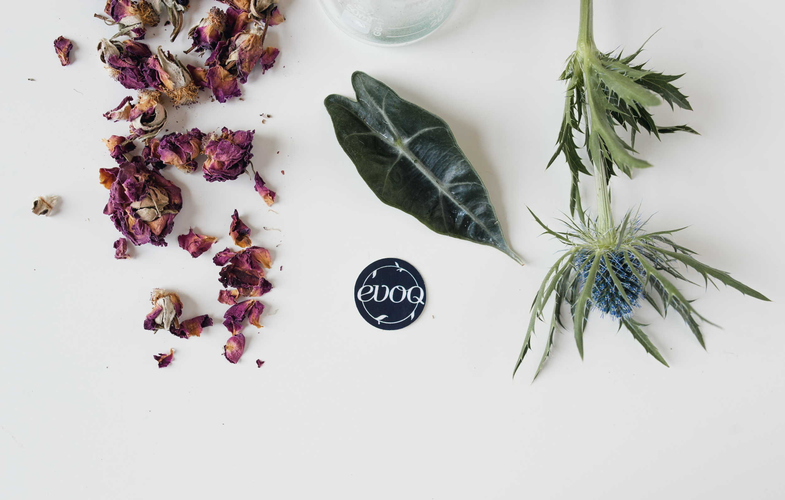 Bethany Birnie Minneapolis Photography & Art Direction