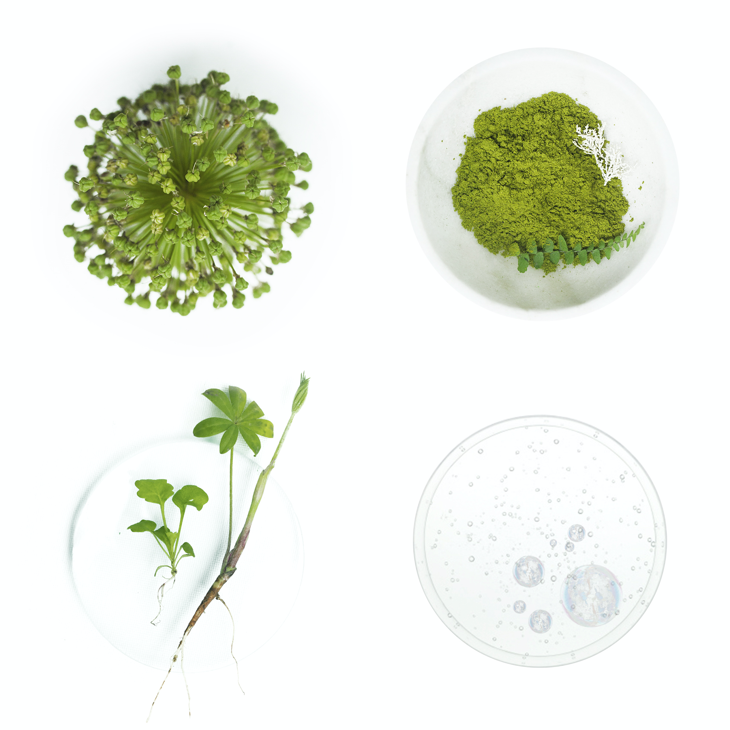 Screen Shot 2019-05-29 at 11.16.38 AM.png