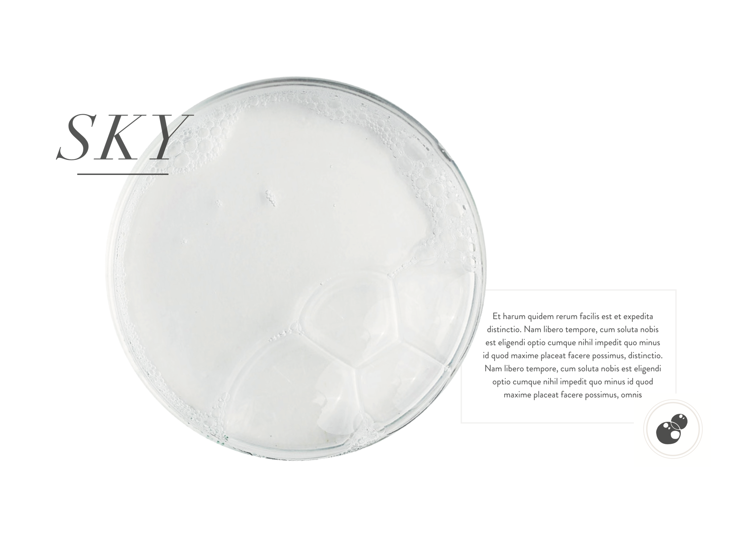 Bethany Birnie Minneapolis Photography & Art Direction