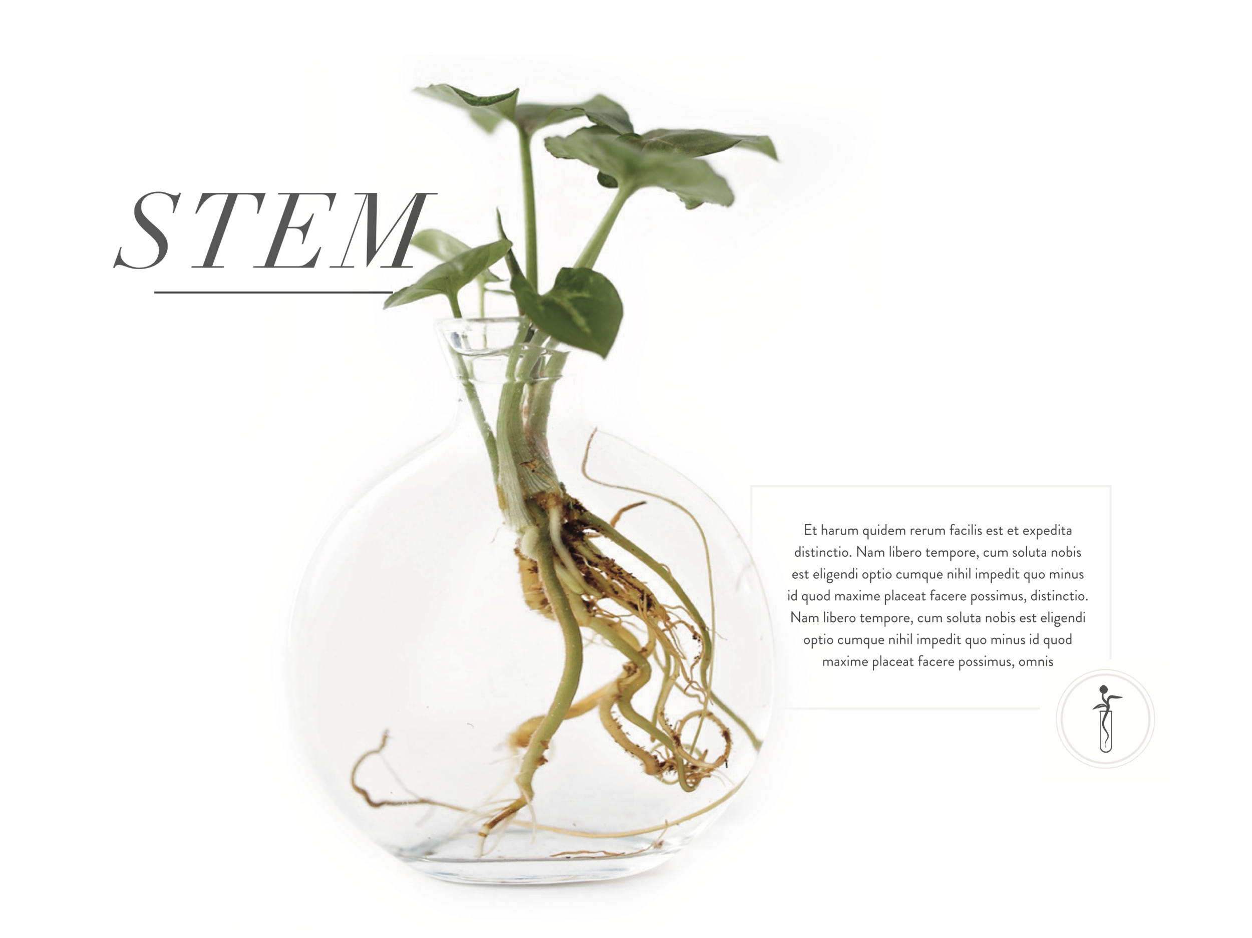 Bethany Birnie Minneapolis Photography & Art Direction