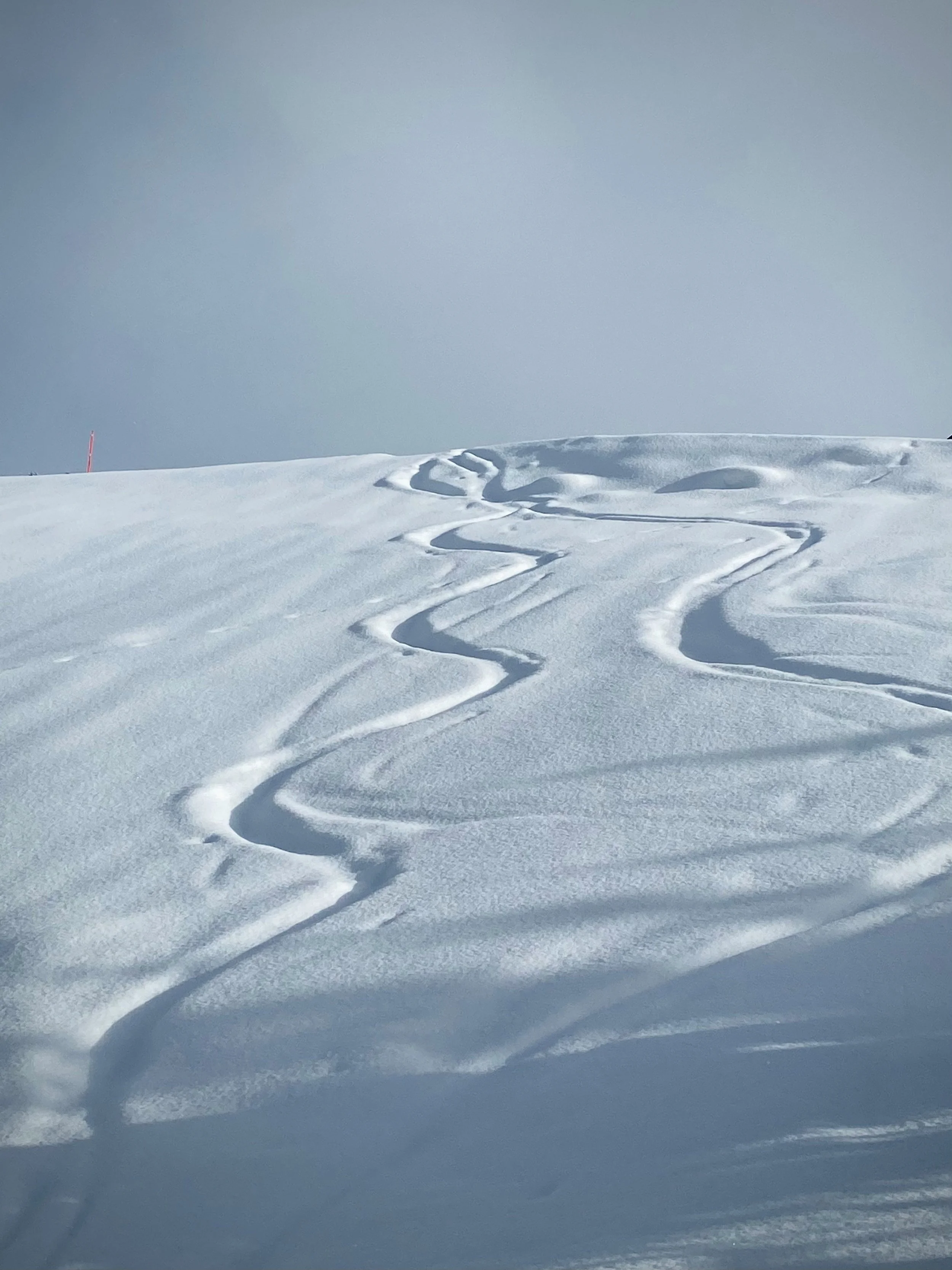 Empreintes de skis dans la neige sur un paysage blanc et nuageux.
