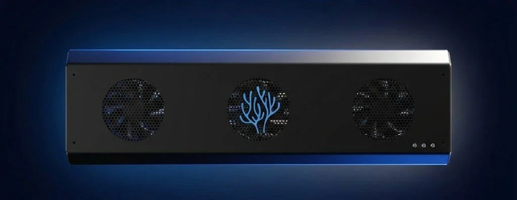 WhatsApp Image 2026-02-12 at 17.03.53.jpeg