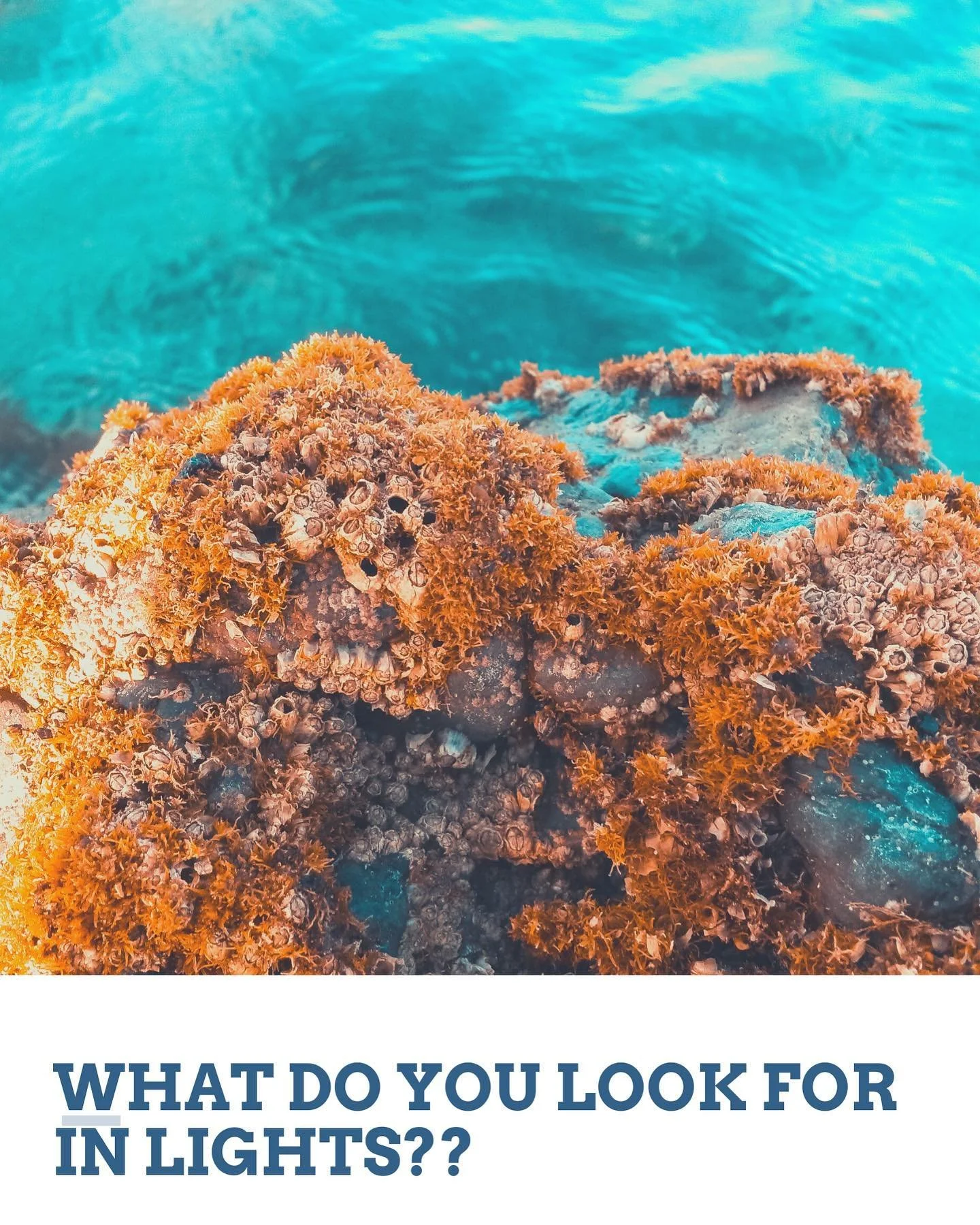 I&rsquo;ll be randomly picking someone from the comment section to give away the Nextgen LED before Grand Opening #ComingSoon #NextgenReefTech #SayNoToShadows