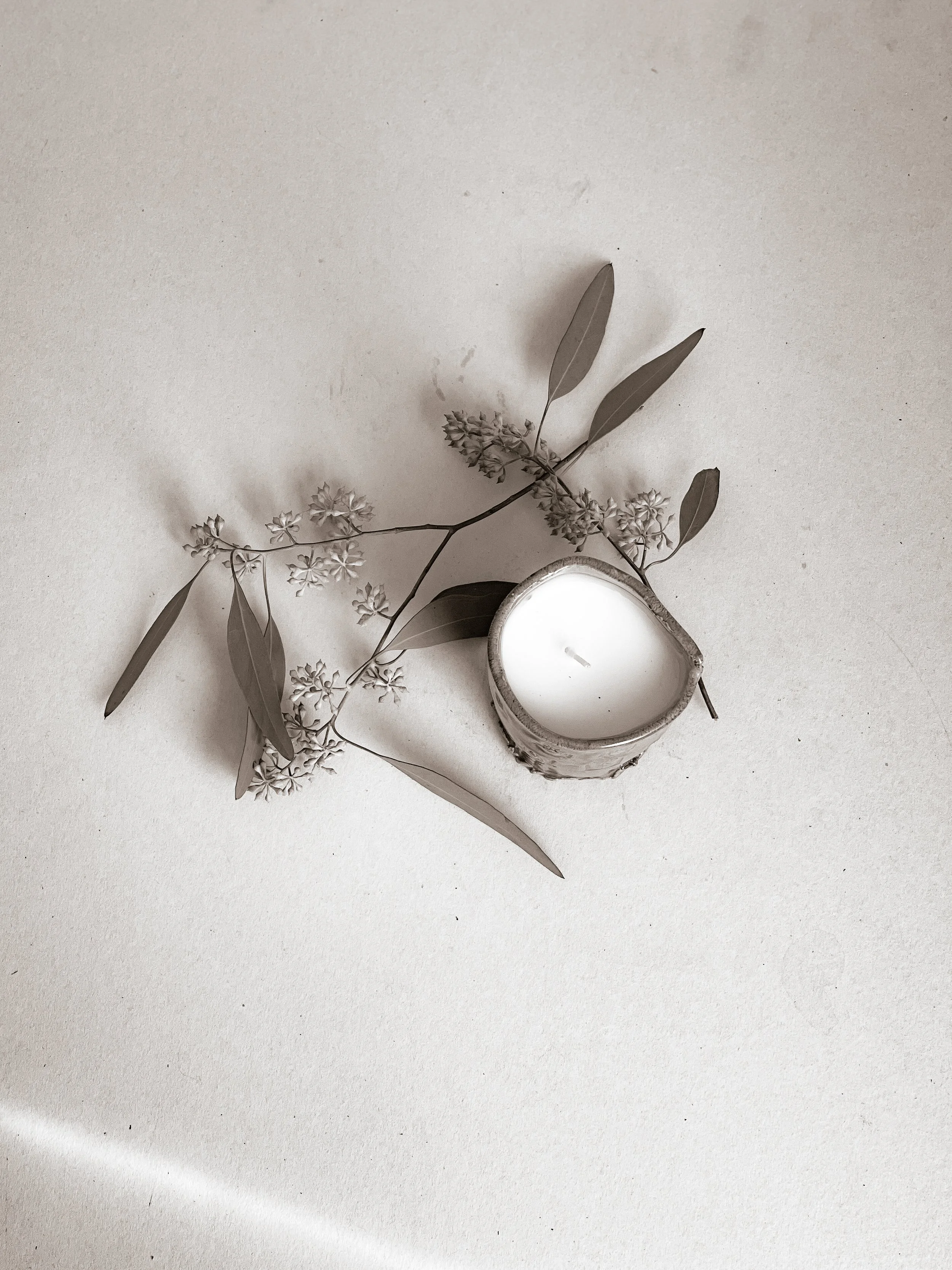 Candle and dried botanical stems arranged on a neutral surface, evoking stillness and intentional work