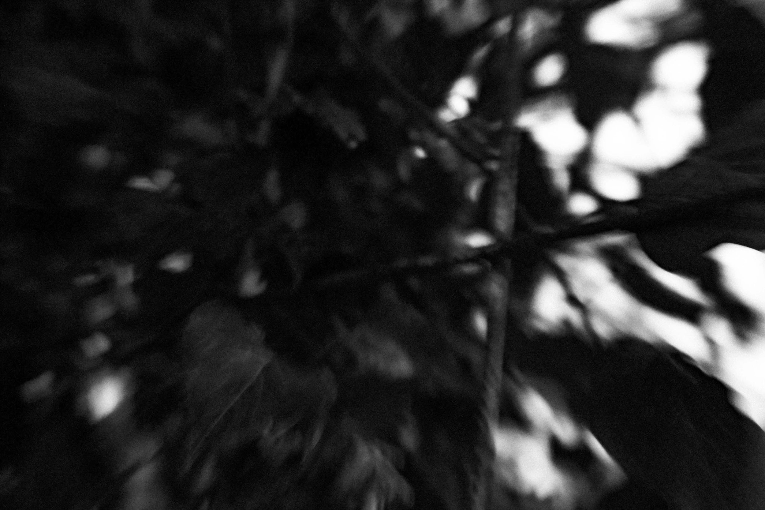 0087.jpg
