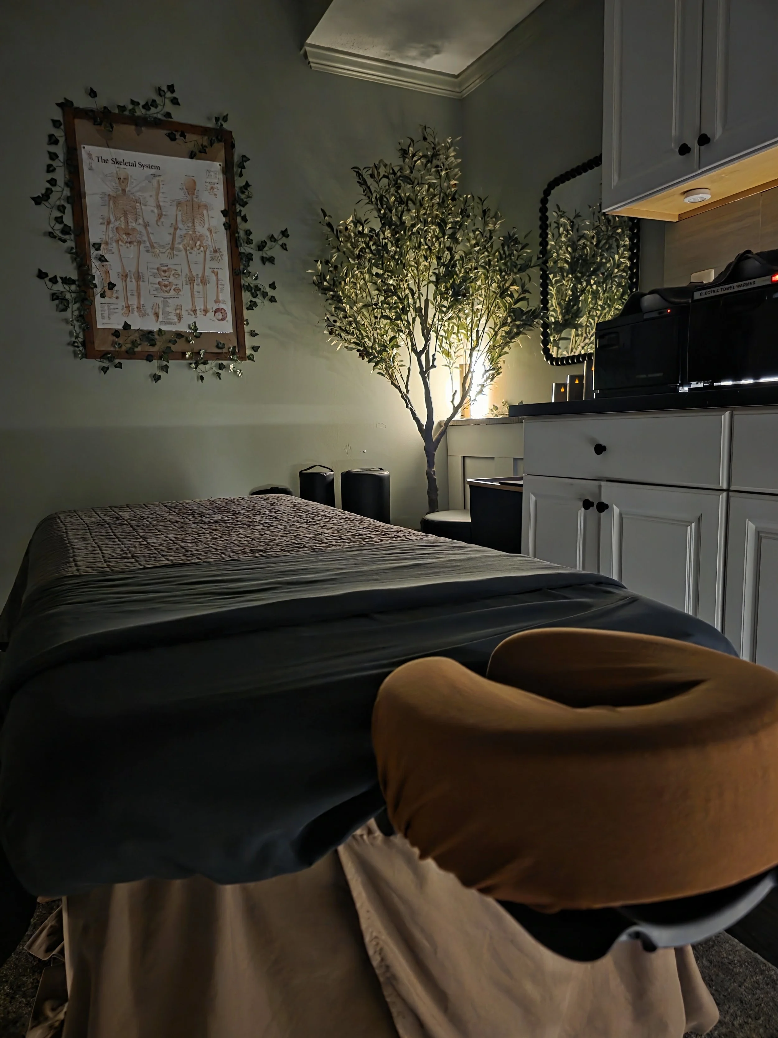 A room with a bed, a framed anatomical skeleton poster on the wall, a tall illuminated plant, and kitchen cabinets. The bed has a brown blanket, and there are two black cylindrical objects beside it.