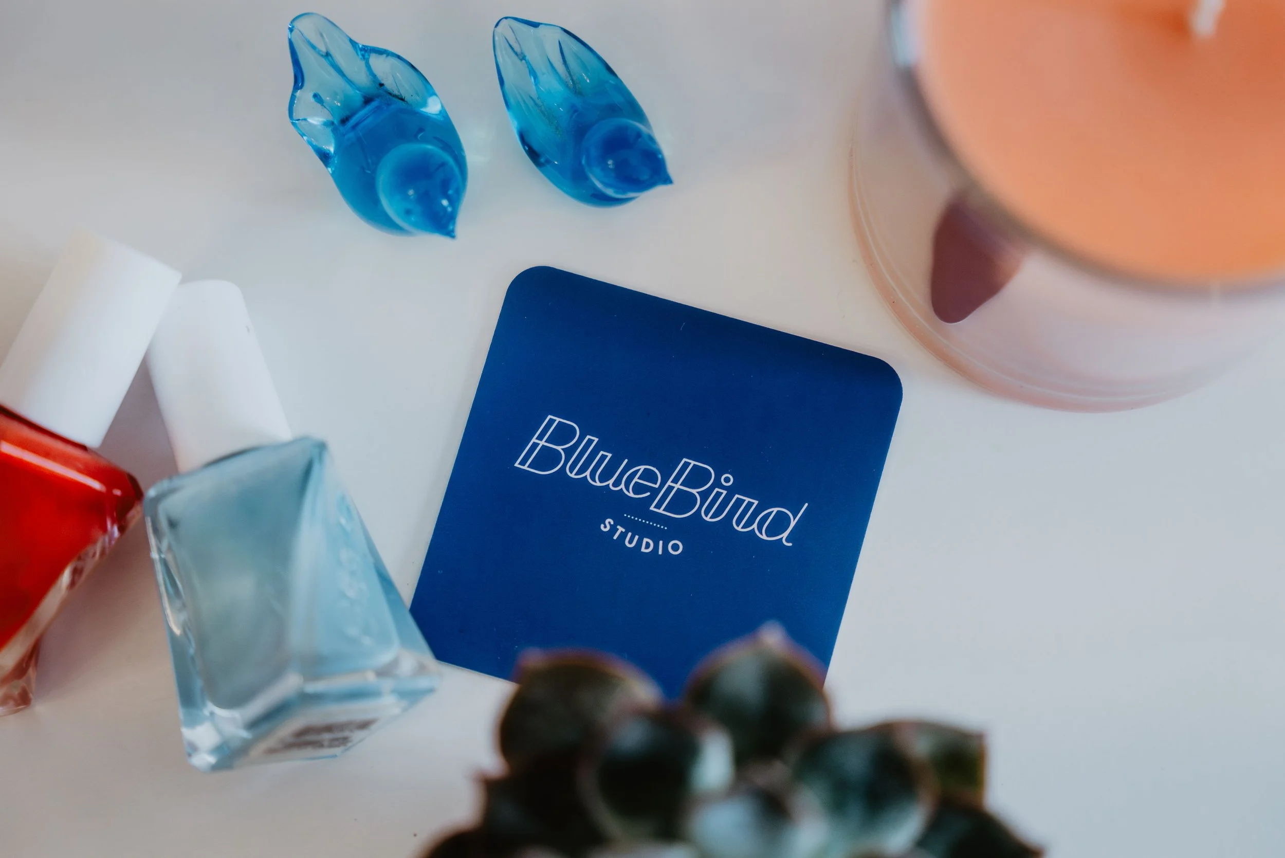 Close-up of blue ear plugs, a blue card with the text 'BunBun Studio', some white objects, a small glass container, a red object, and a blurred cluster of dark berries in the foreground.