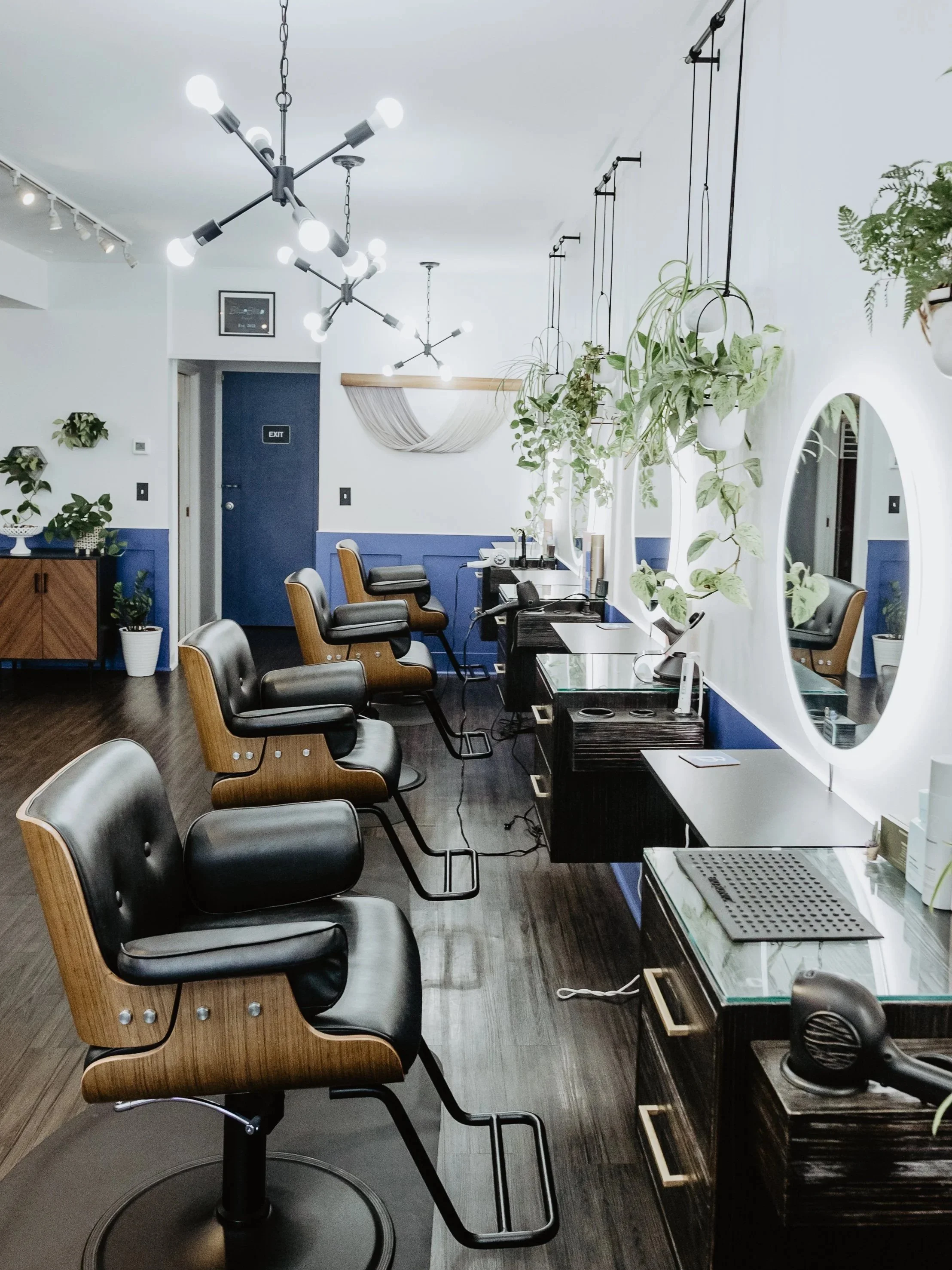 Interior of a hair salon with styling chairs, mirrors, hanging plants, and modern lighting fixtures.