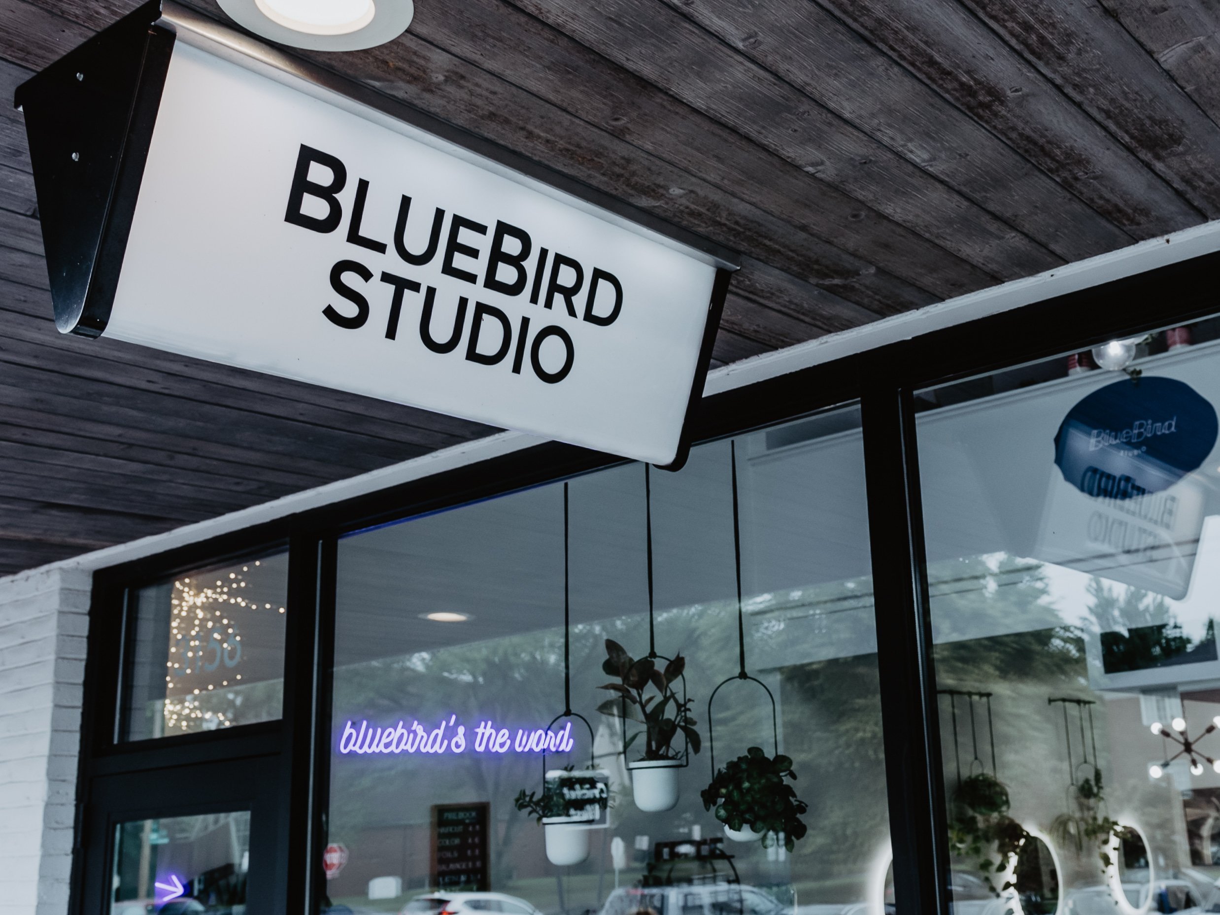 The image shows the exterior of Bluebird Studio, with a large illuminated sign reading "Bluebird Studio" hanging under a wooden roof. Inside, there are decorative plants, a neon sign, and reflections of string lights and other small lights visible on the glass windows.