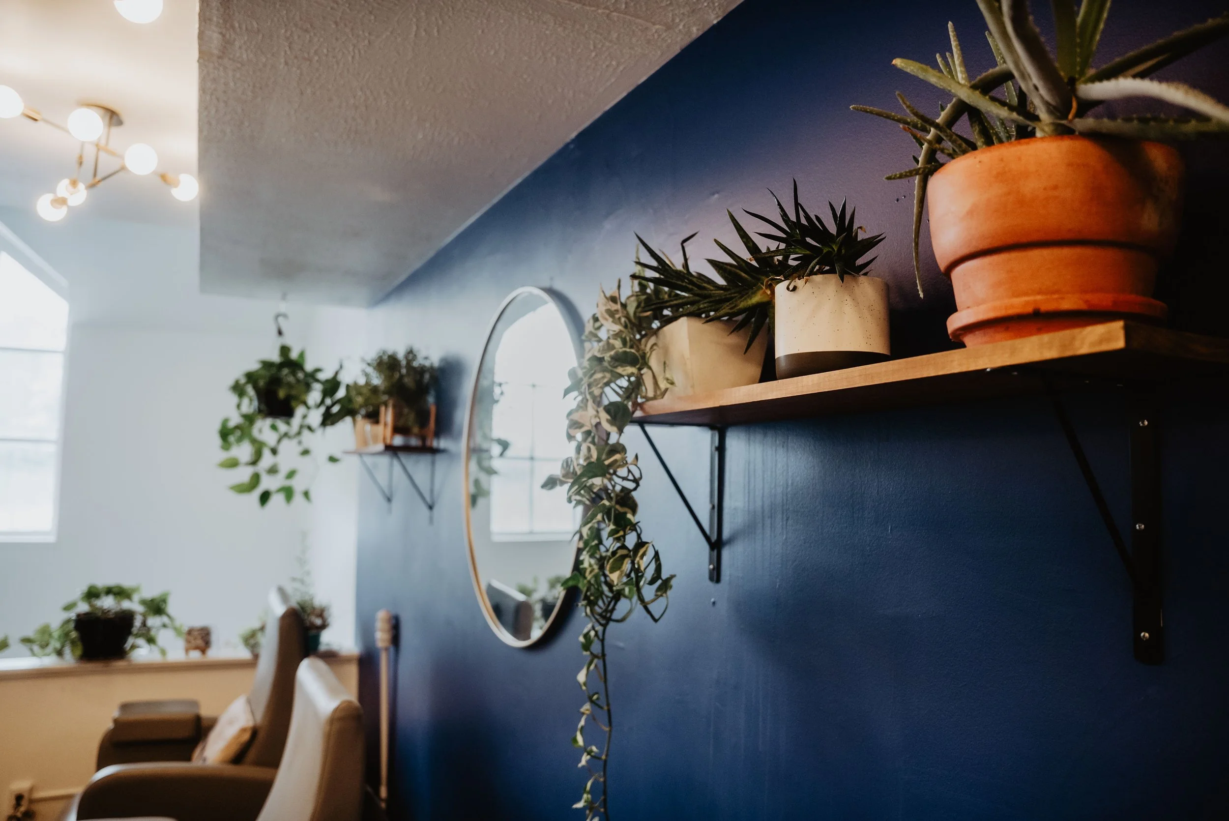 Indoor room featuring a blue wall with wooden shelves holding potted plants, a round mirror, and a modern ceiling light fixture with multiple white globes.