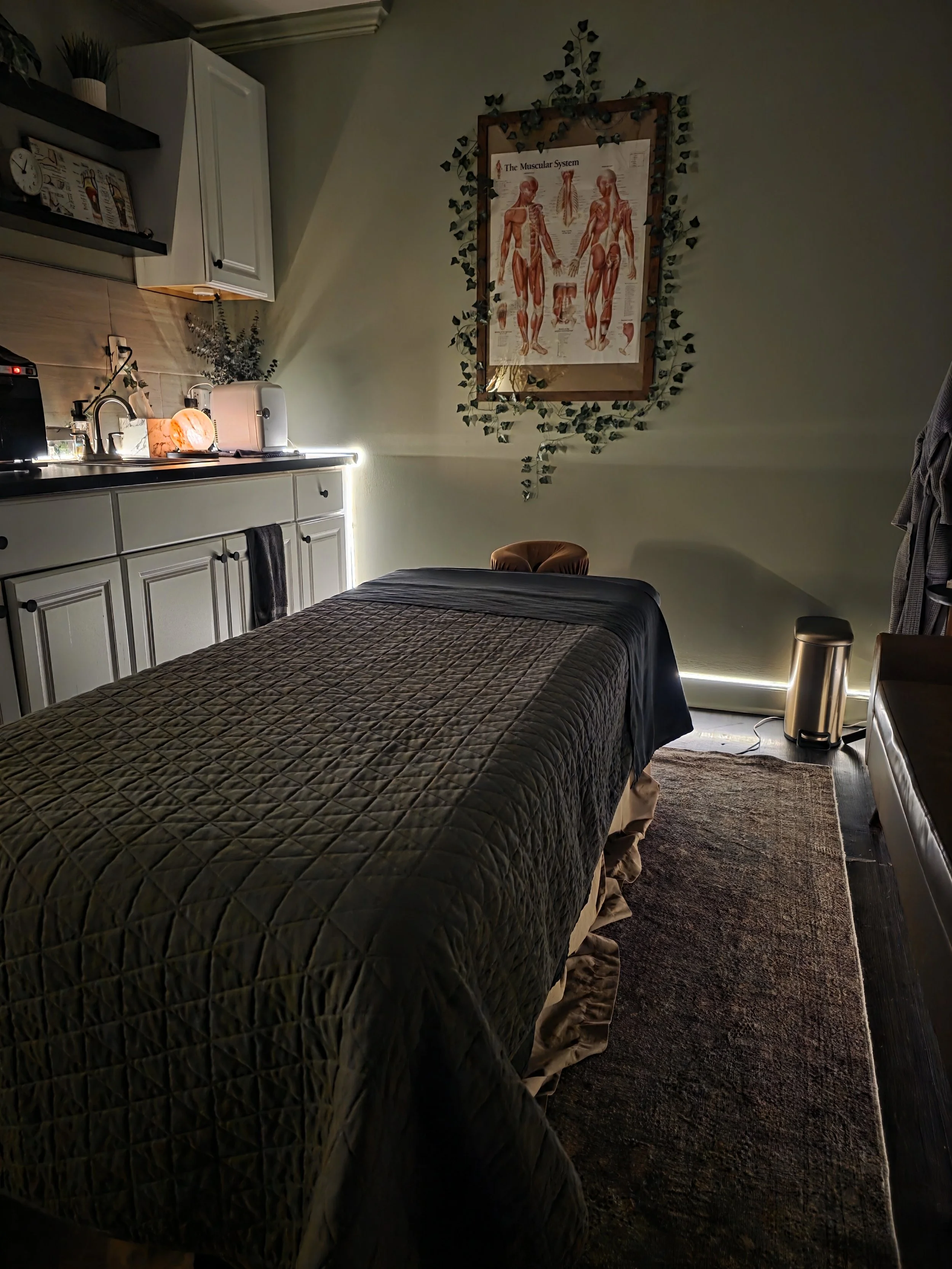 A cozy bedroom with a bed covered in a dark quilt, a small kitchen area with a sink and countertop, and a framed poster of the muscular system on the wall surrounded by faux ivy leaves. Nighttime lighting creates a warm ambiance.