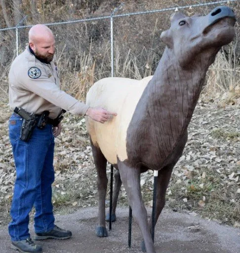 A man in a beige uniform and blue jeans pointing at a life-sized horse statue with a unique elongated neck outside on rocky ground near a chain-link fence.