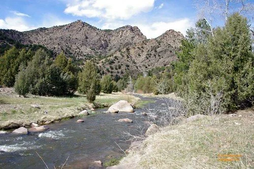 A river flowing through a valley with green trees on either side and mountains in the background under a partly cloudy sky.