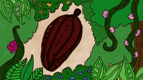 Dibujo de una tortuga en un entorno de selva o bosque, rodeada de plantas verdes y hojas.