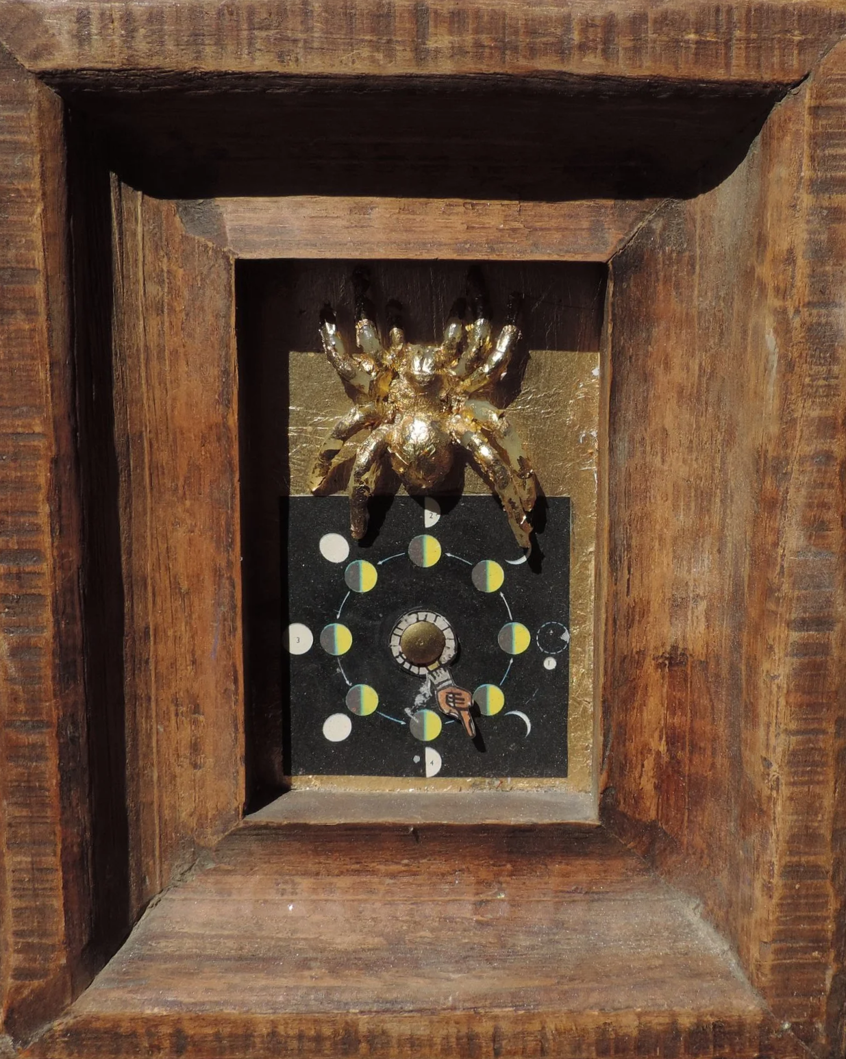 Un reloj dentro de una caja de madera con una decoración de araña dorada en la parte superior.