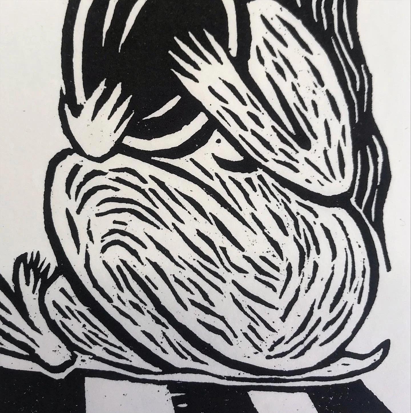 Dibujo en blanco y negro de un animal que parece un oso o un canguro, con líneas curvas que representan el pelaje o la textura de la piel, sentado con las patas delanteras levantadas.