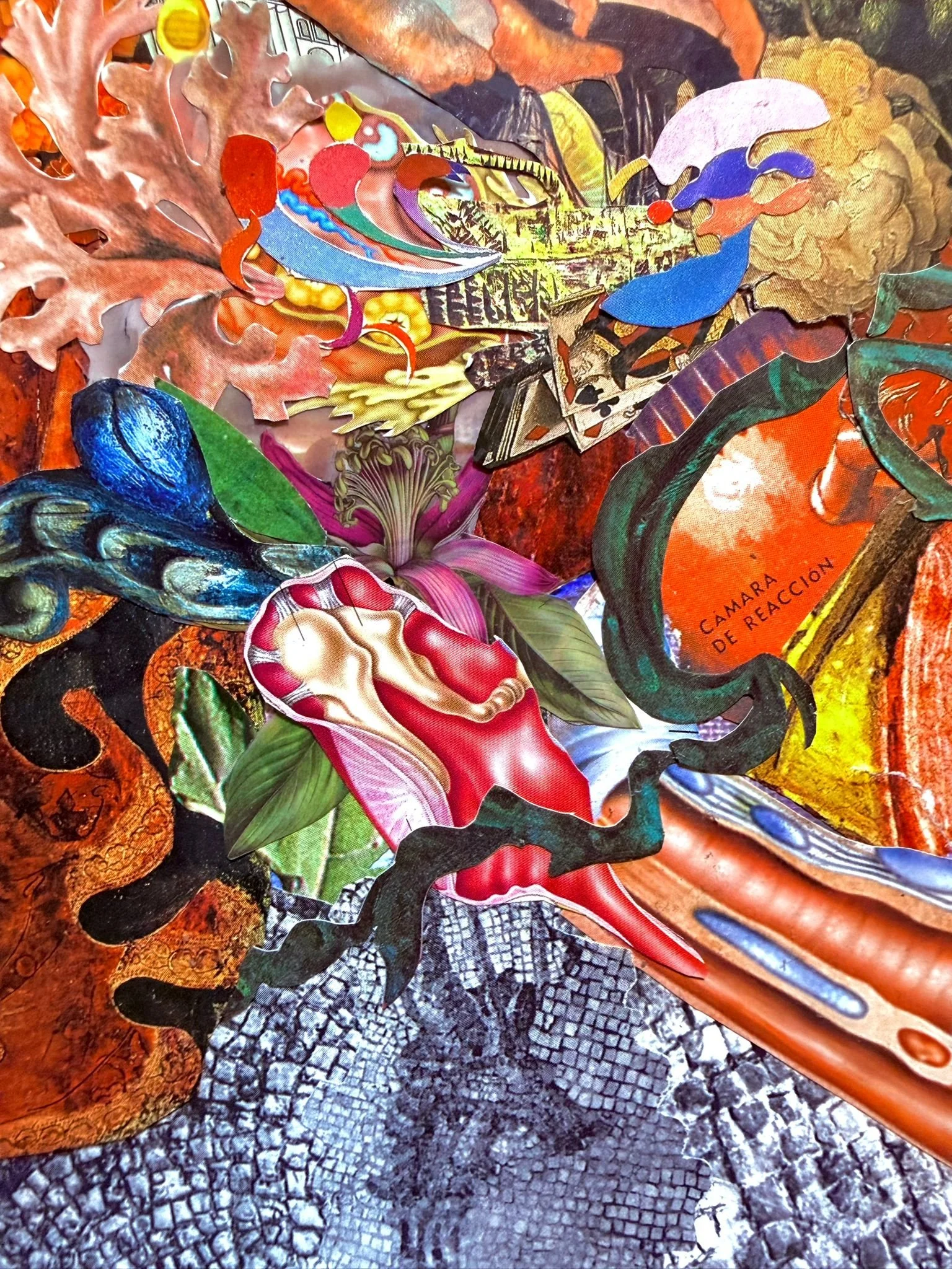 Collage de recortes de diferentes imágenes y dibujos, incluyendo elementos naturales y patrones coloridos.
