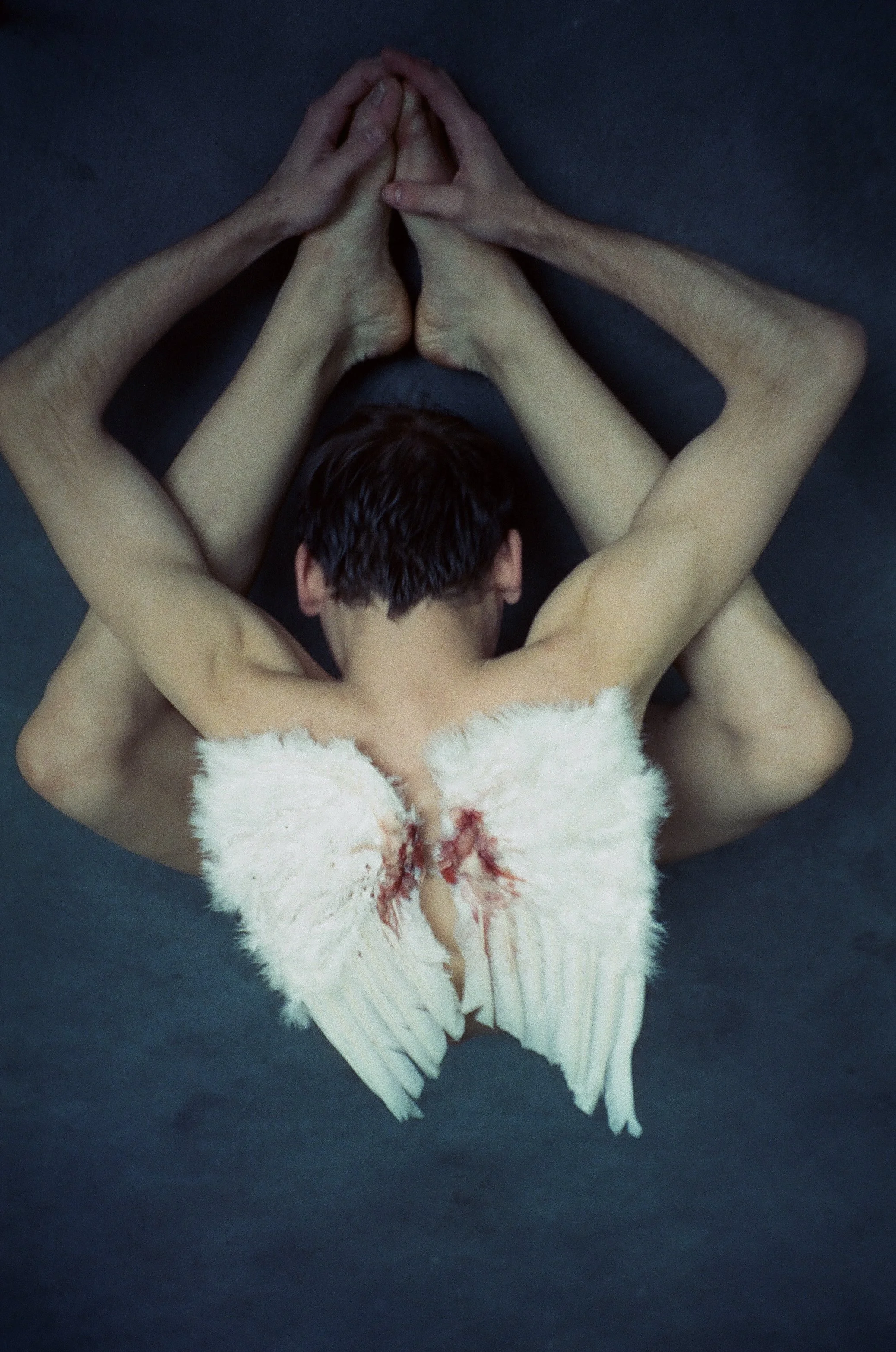 Paradise's Flesh, 2026