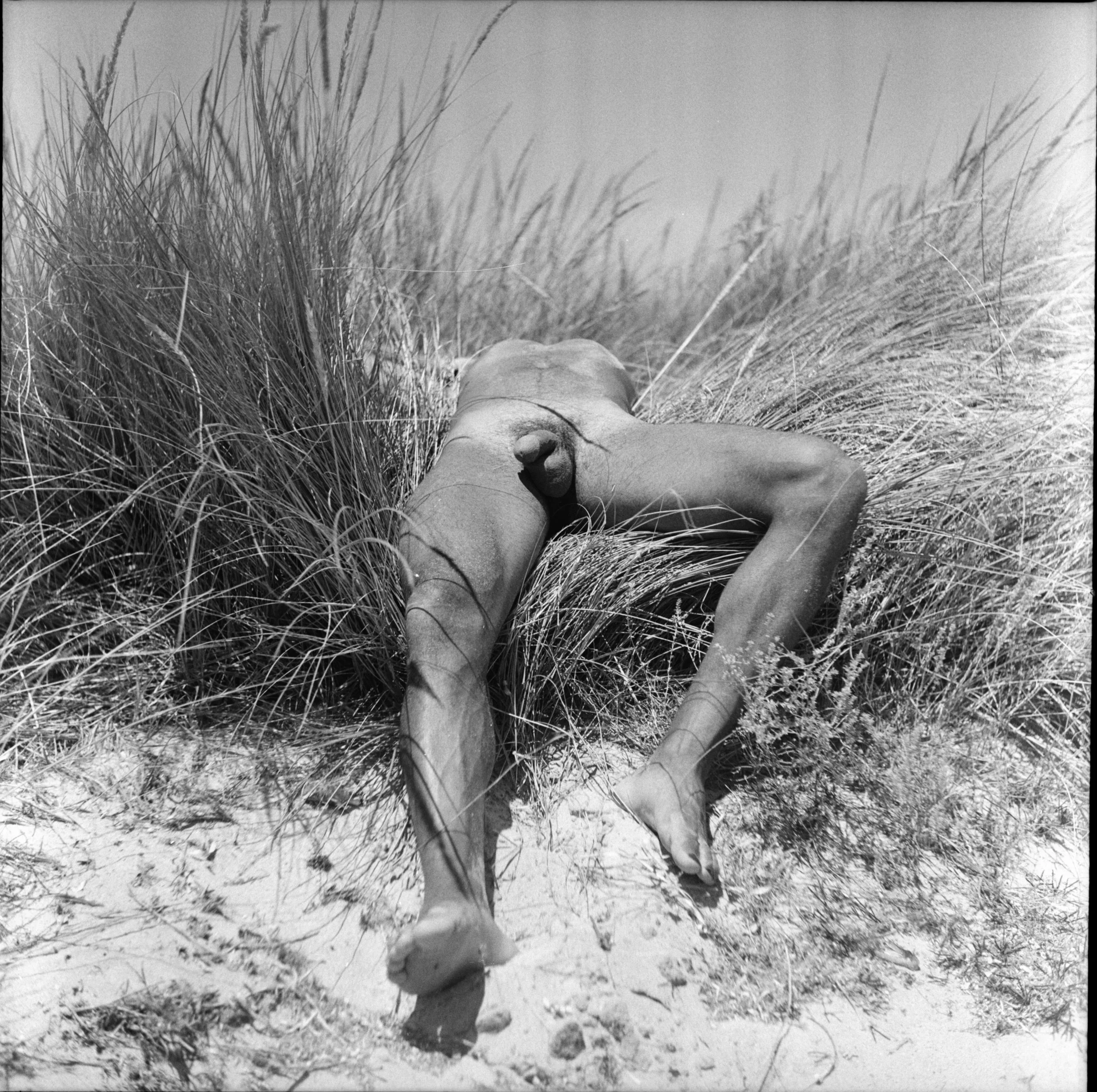 Summer of ‘38