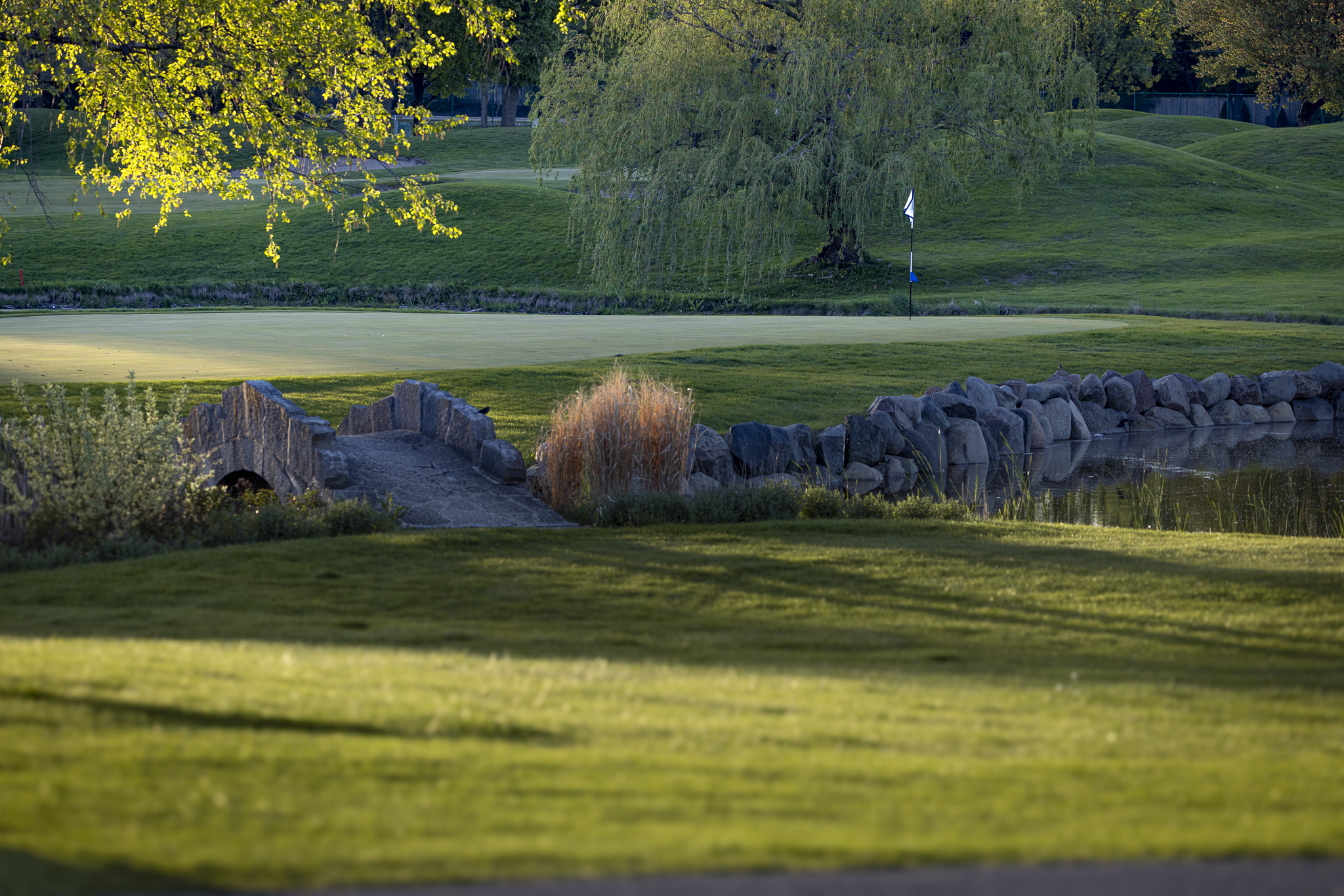 A golf course with a putting green, a flagstick, rocks and water feature, trees, and well-maintained grass.
