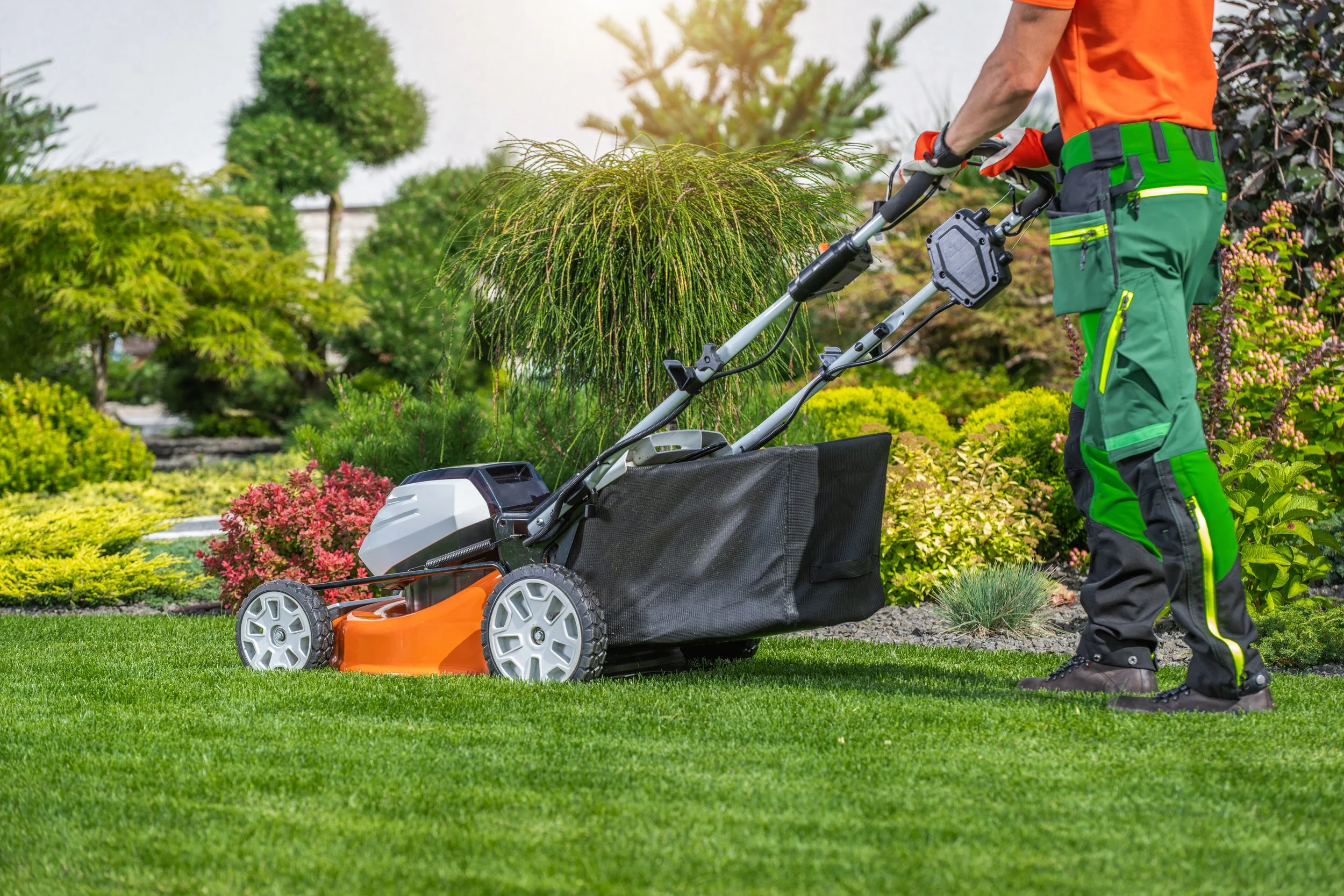 Person using a lawn mower in a lush, well-maintained garden with various green bushes and trees.