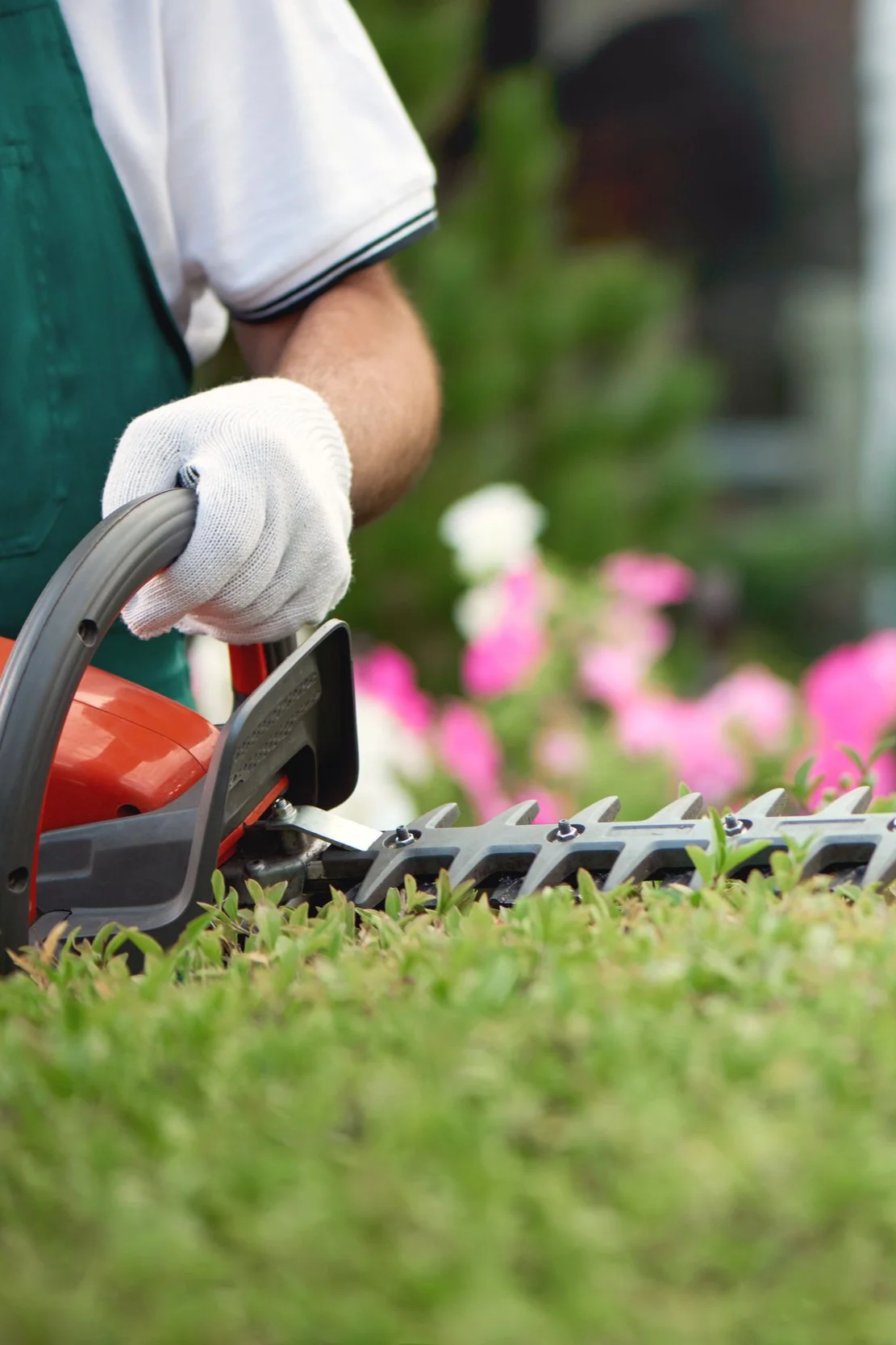 Close-up of a person in a white shirt and green apron wearing white gloves, holding the handle of a red and black string trimmer, working on a garden with pink and white flowers in the background.