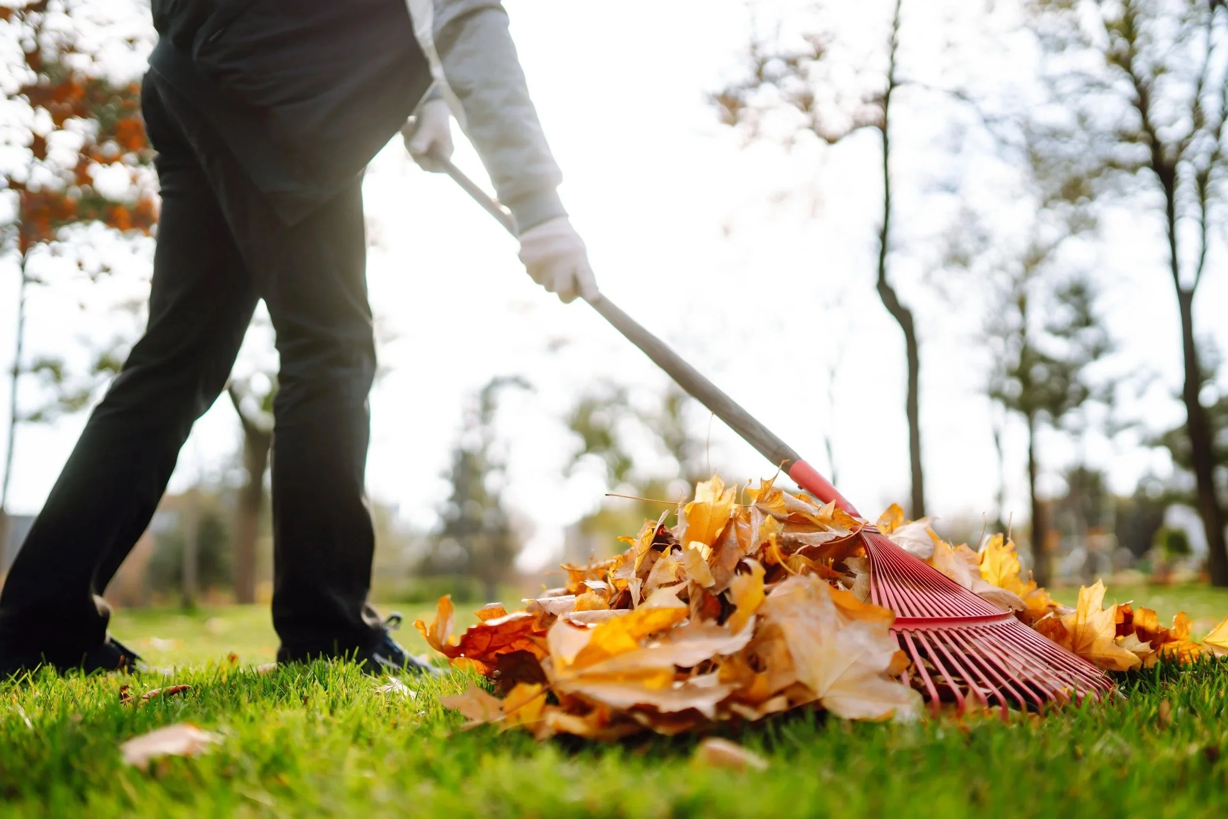 Person raking fallen autumn leaves into a pile in a park.