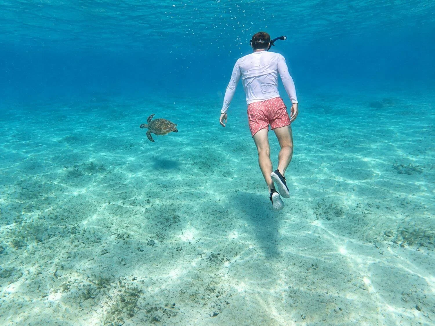 Man swimming with turtle in Bonaire.