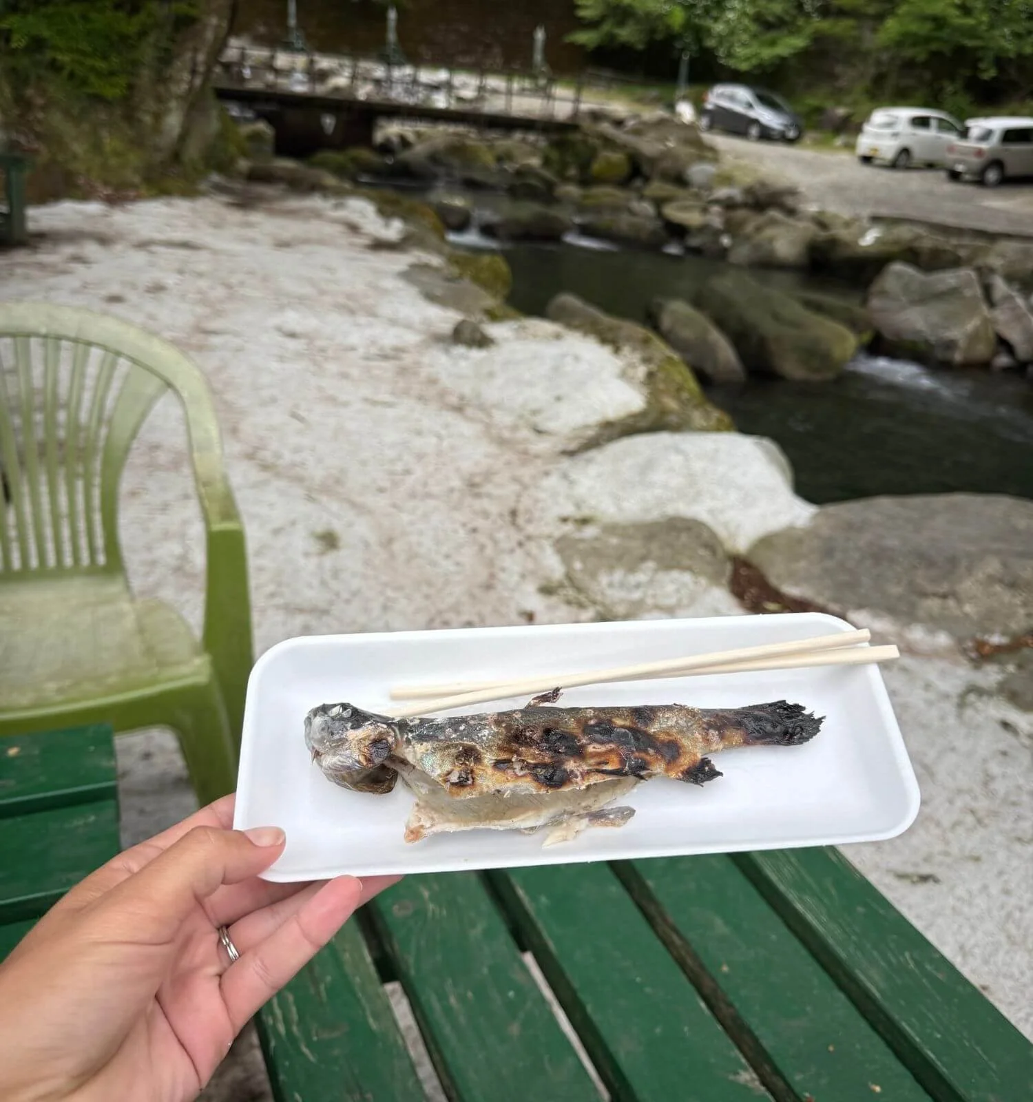 Our freshly grilled trout, served with chopsticks at the Hakone fishing spot