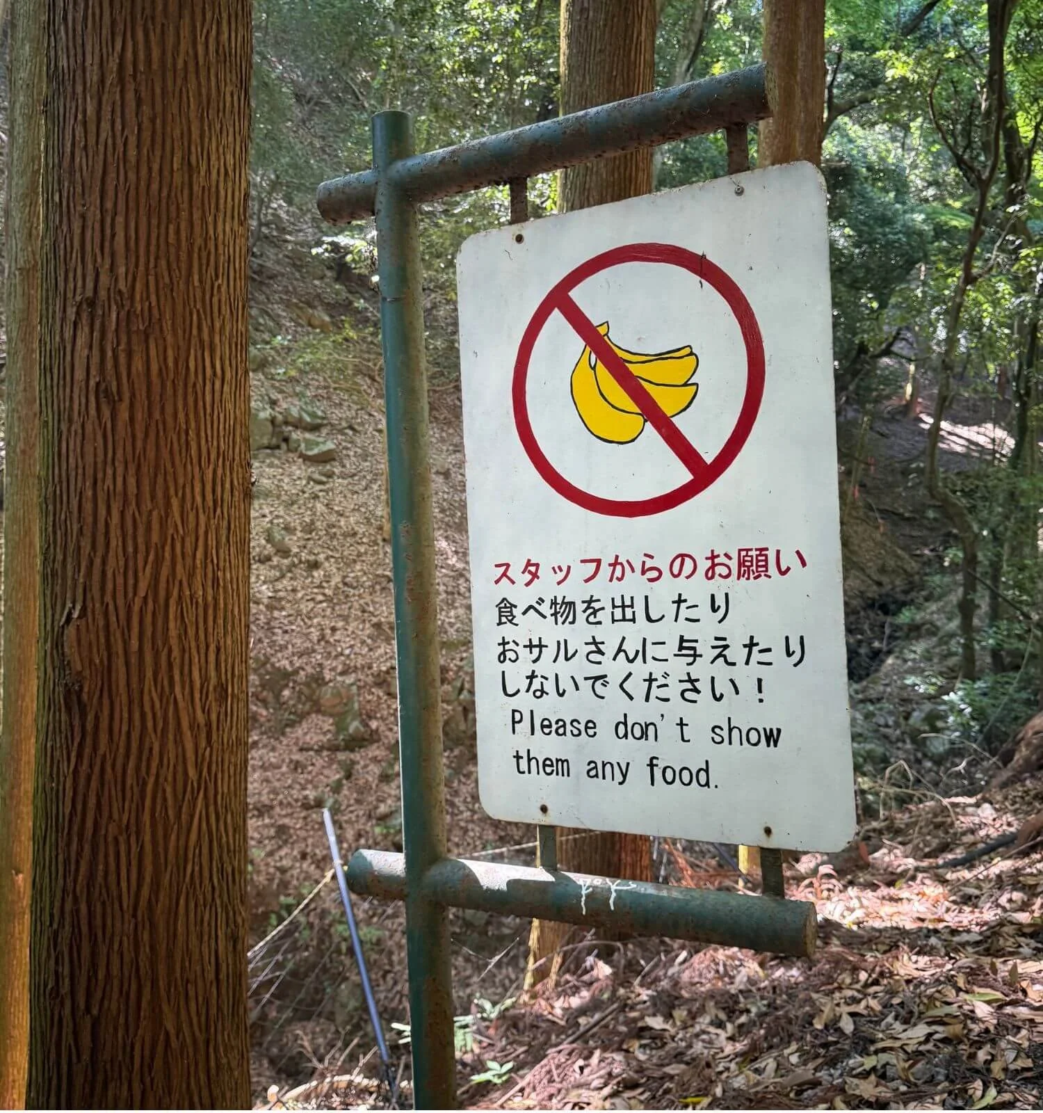 A sign at Arashiyama Monkey Park reminding visitors not to feed the monkeys outside the shelter