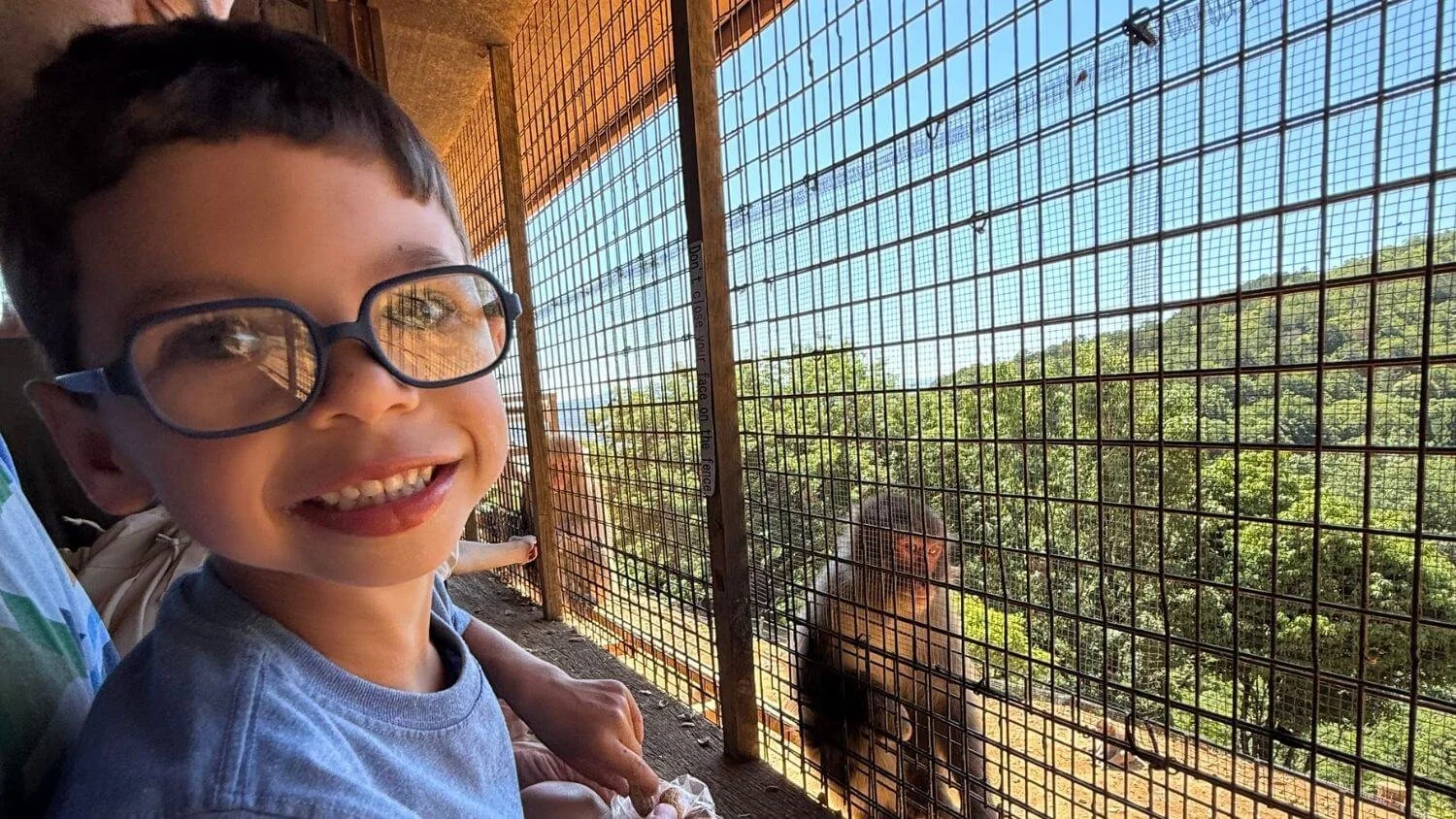 Is Kyoto Good for Kids? Our Honest Take