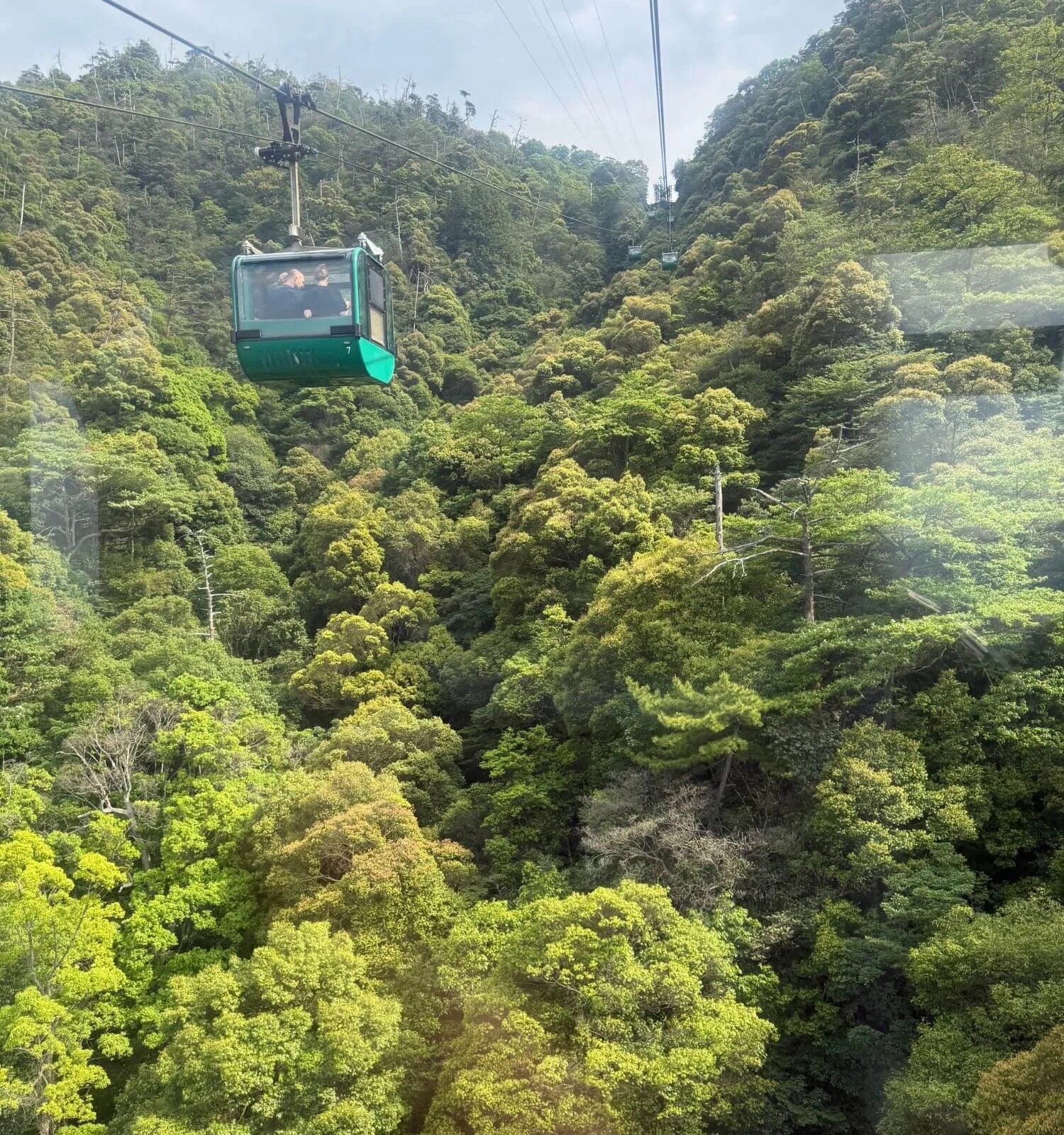 The Miyajima Ropeway climbing into the forested mountainside