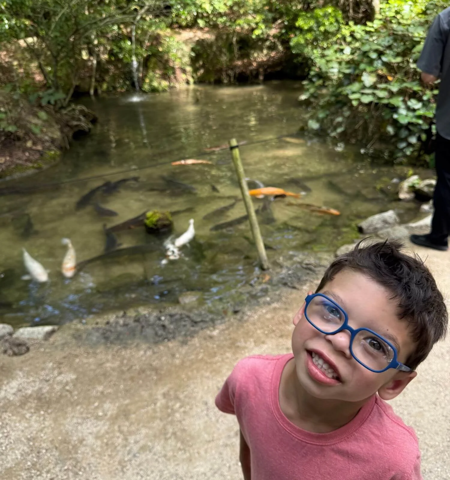 Jackson near a koi pond by the Miyajima Ropeway