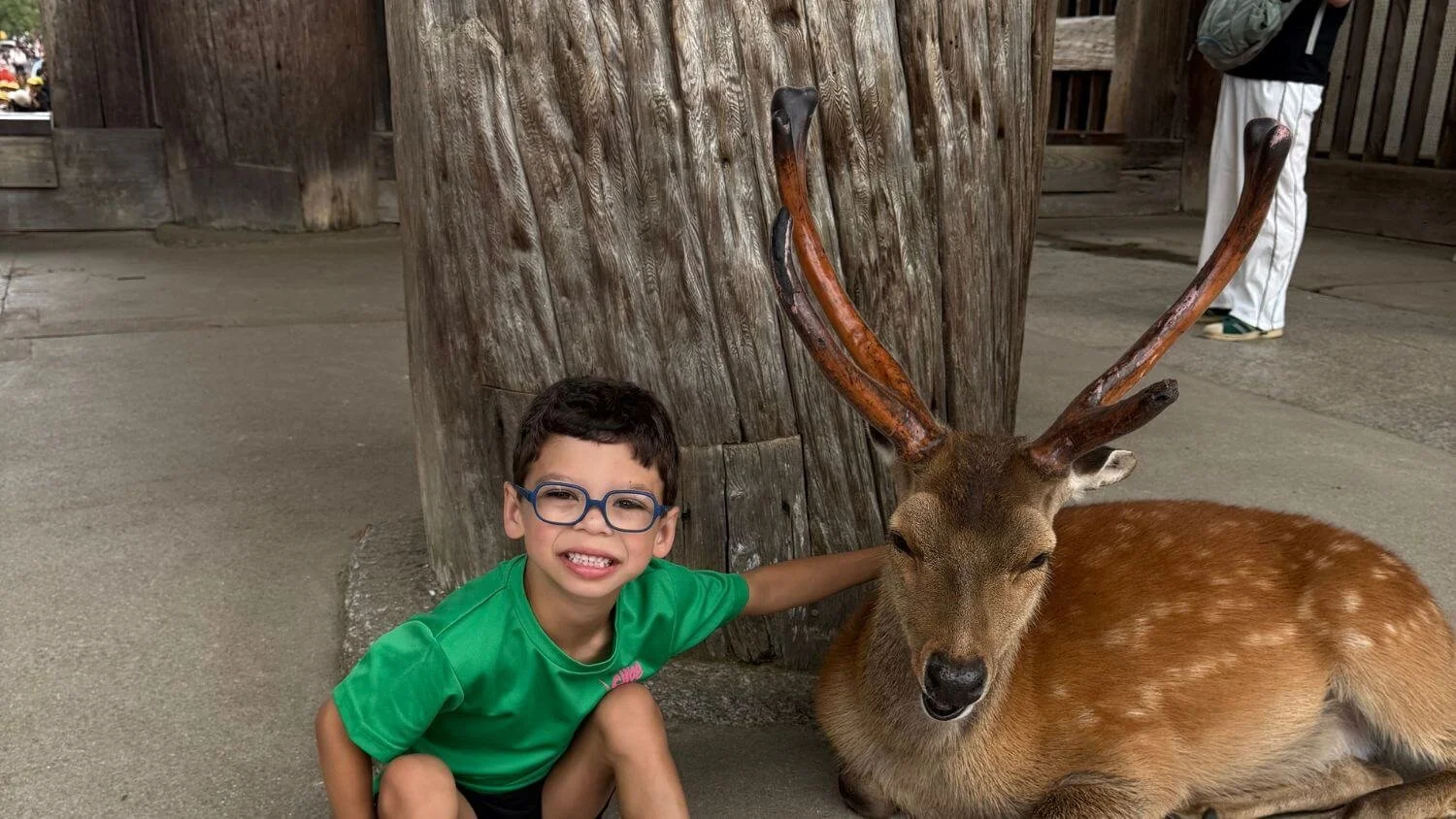Is Nara Good for Kids? Our Honest Take